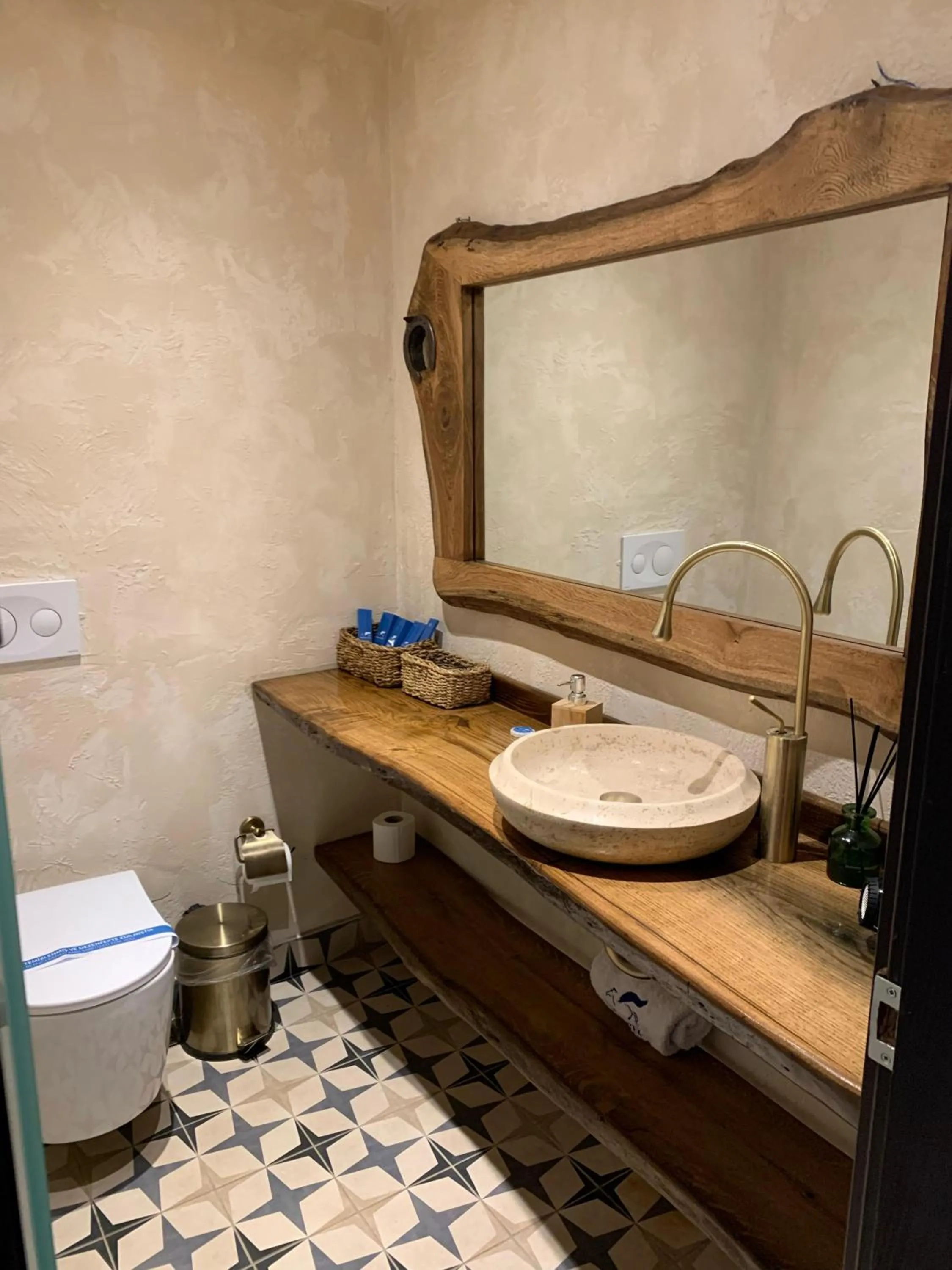 Toilet in MAVİ AT HOTEL Blue Horse