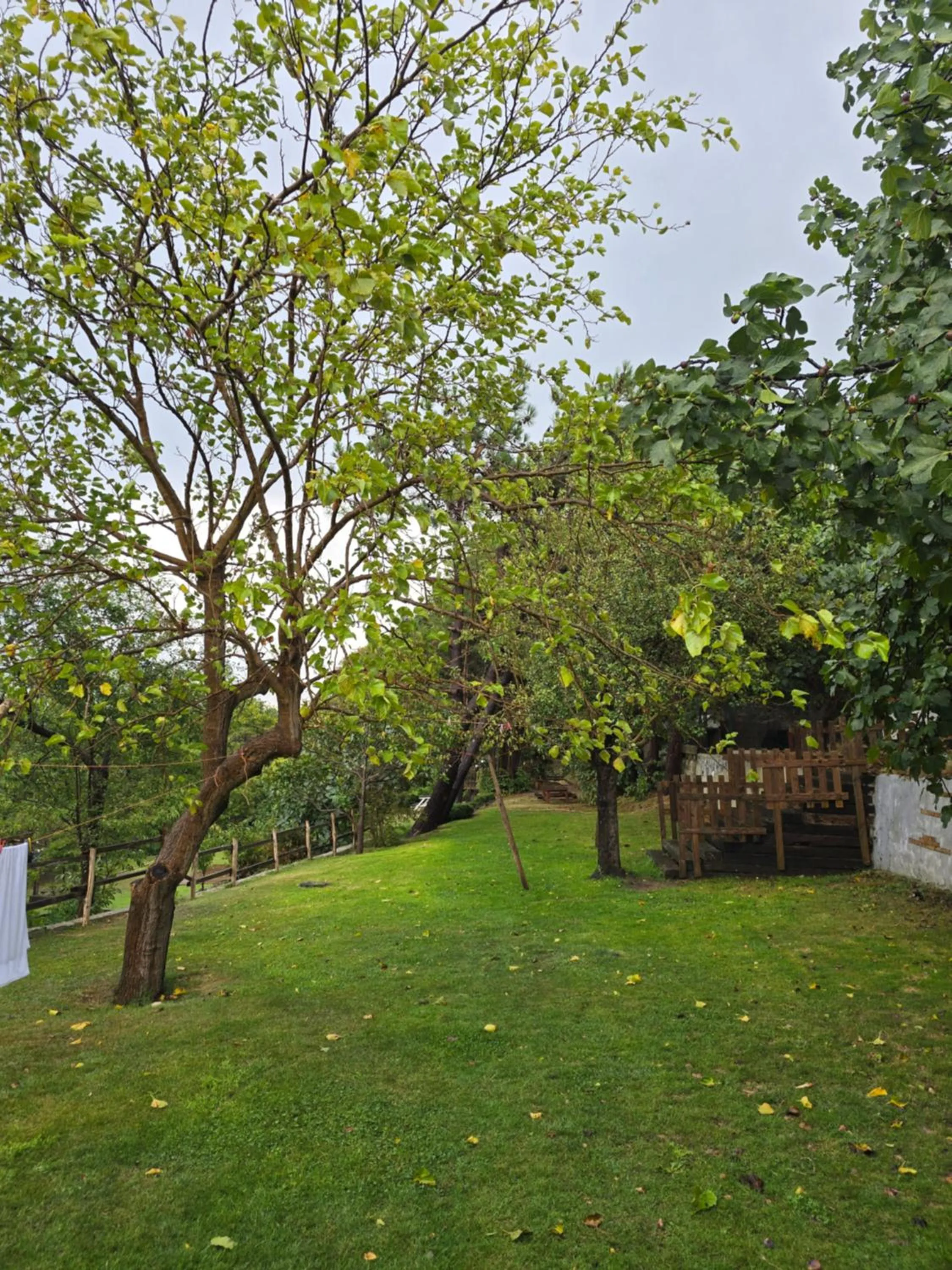 View (from property/room) in MAVİ AT HOTEL Blue Horse