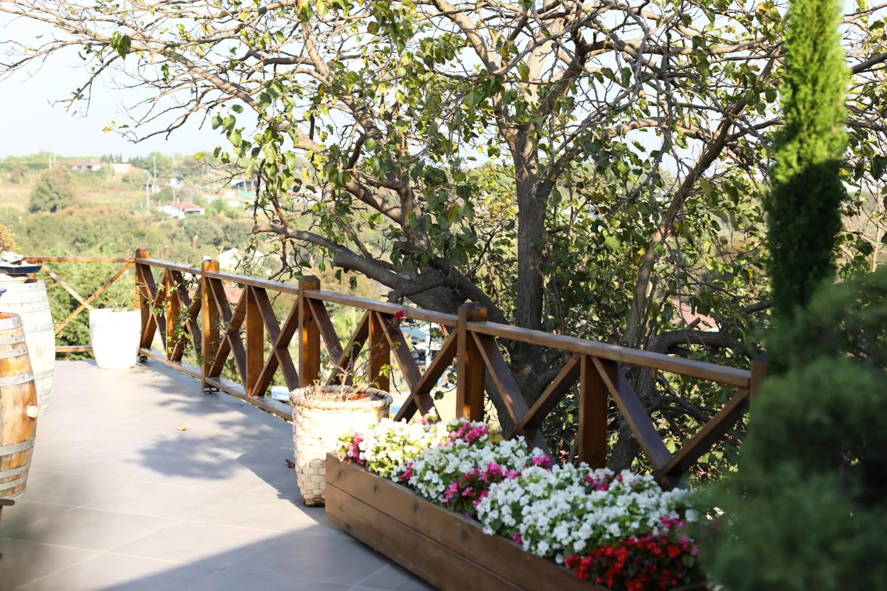 Garden in MAVİ AT HOTEL Blue Horse