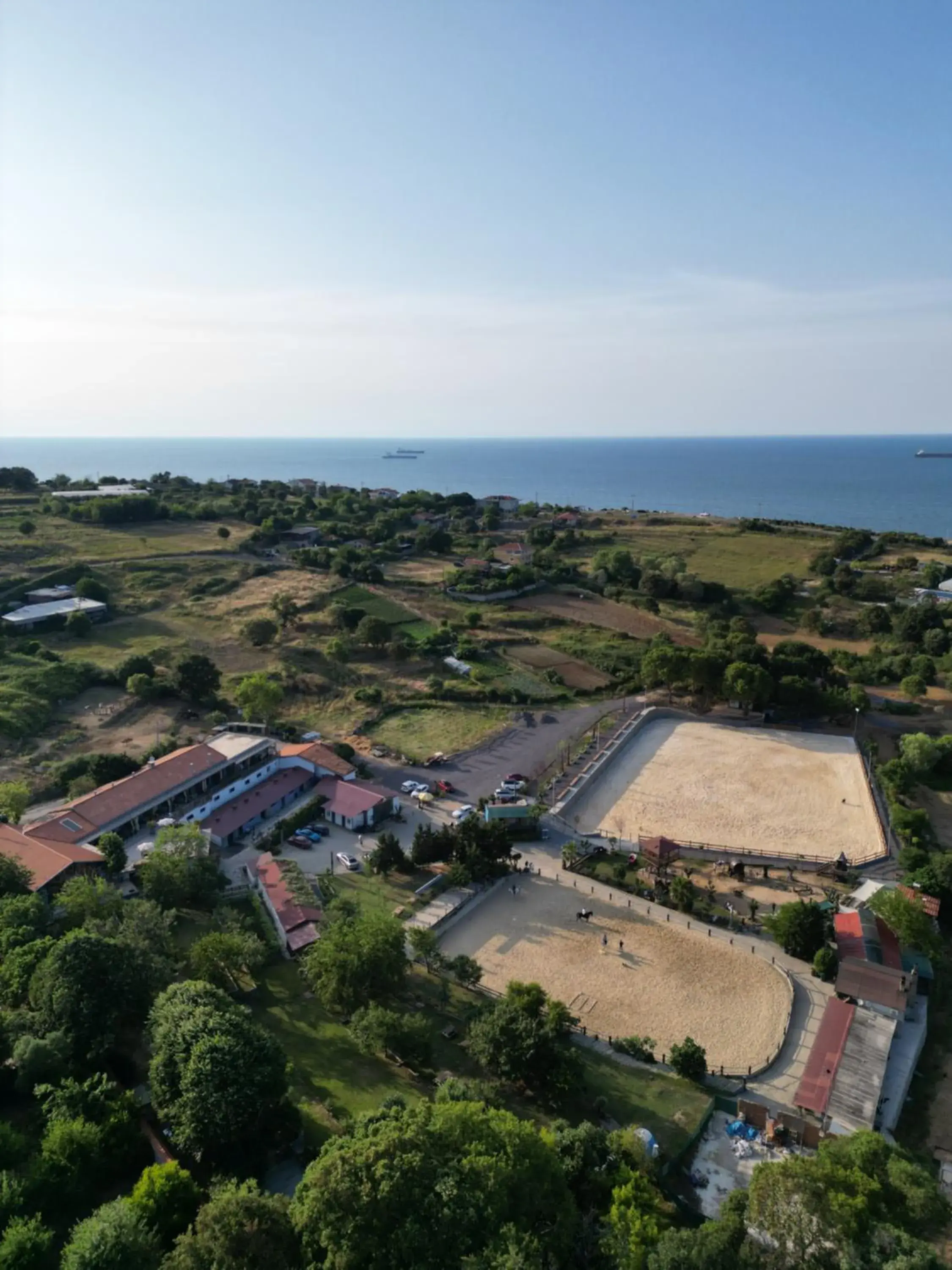 MAVİ AT HOTEL Blue Horse MAVİ AT HOTEL Blue Horse