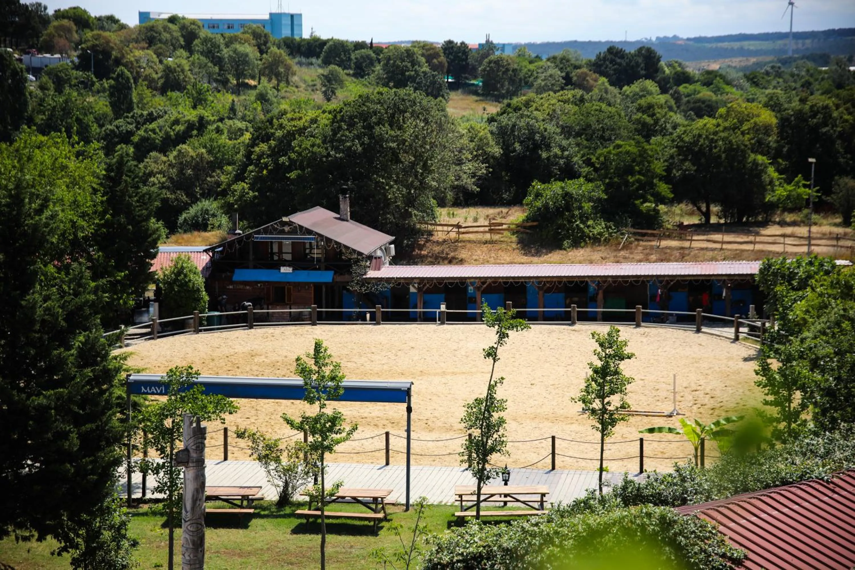 Restaurant/places to eat in MAVİ AT HOTEL Blue Horse