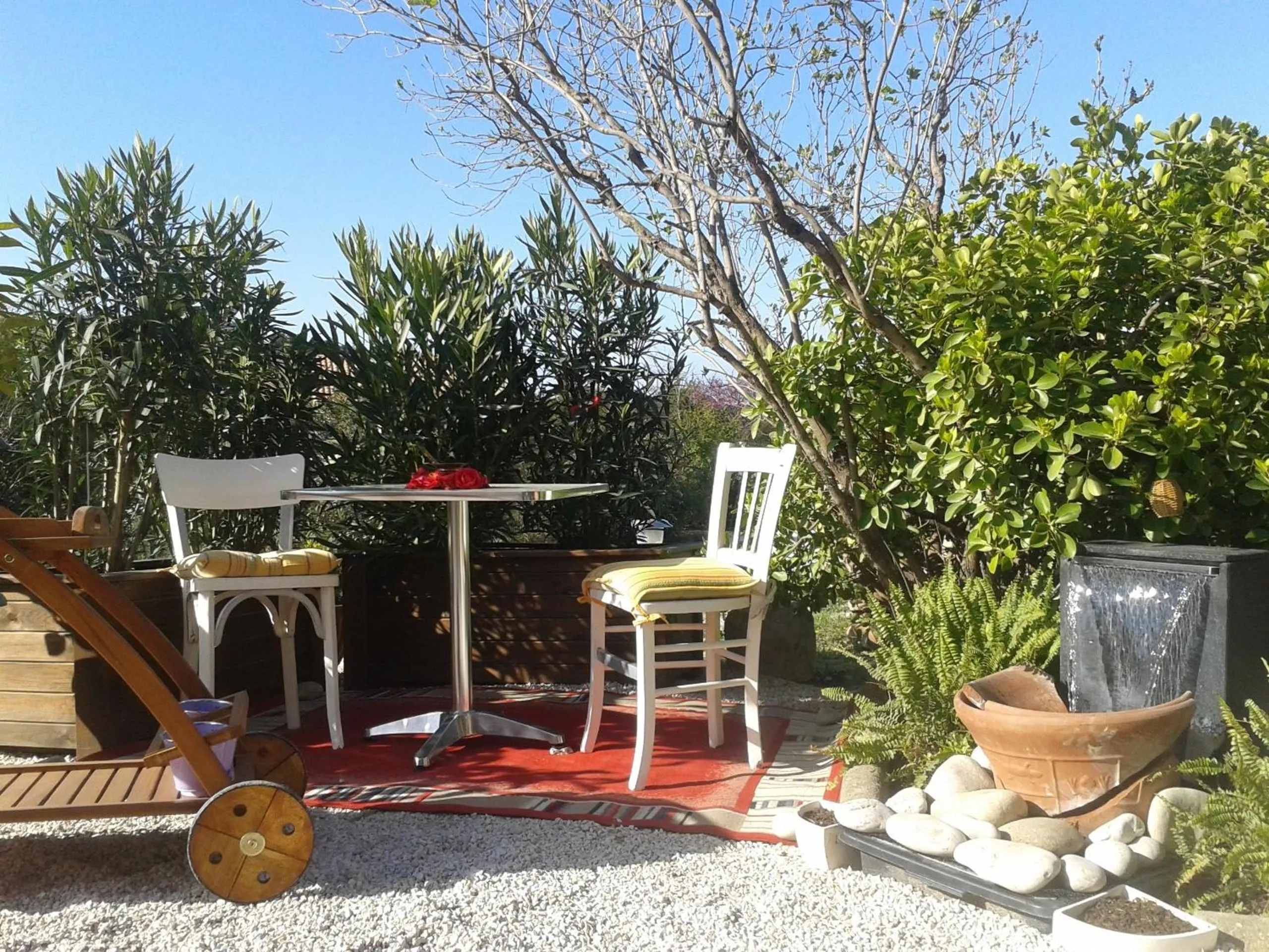 Garden in B&B Le Clos des Cigales