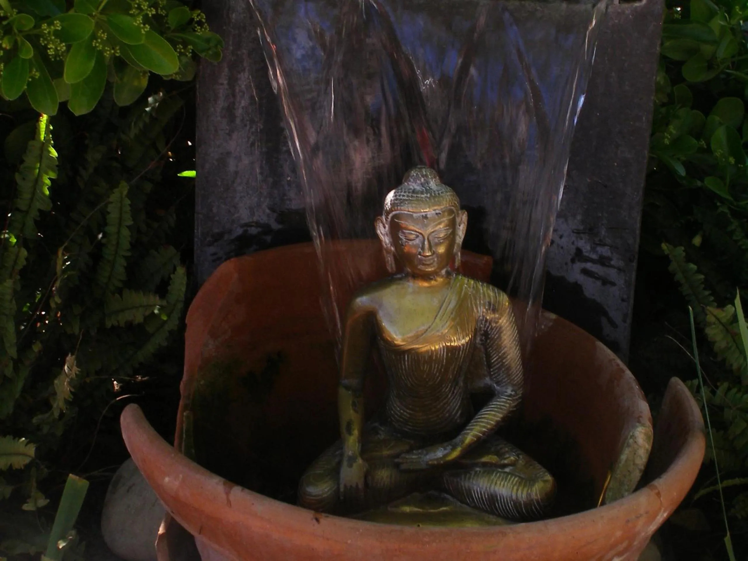 Garden in B&B Le Clos des Cigales