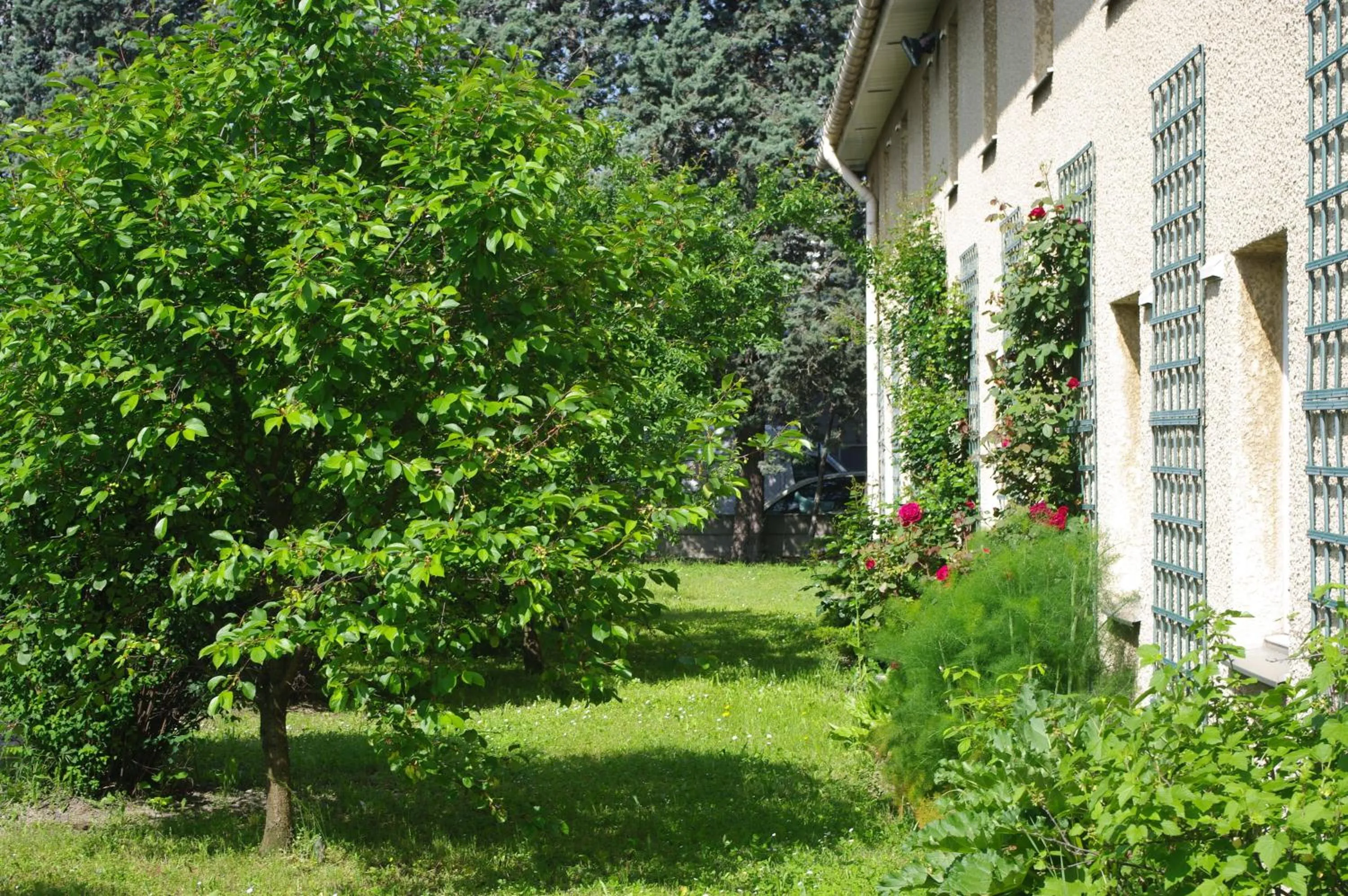 Facade/entrance in Hotel du Moulin à Vent - Gerland