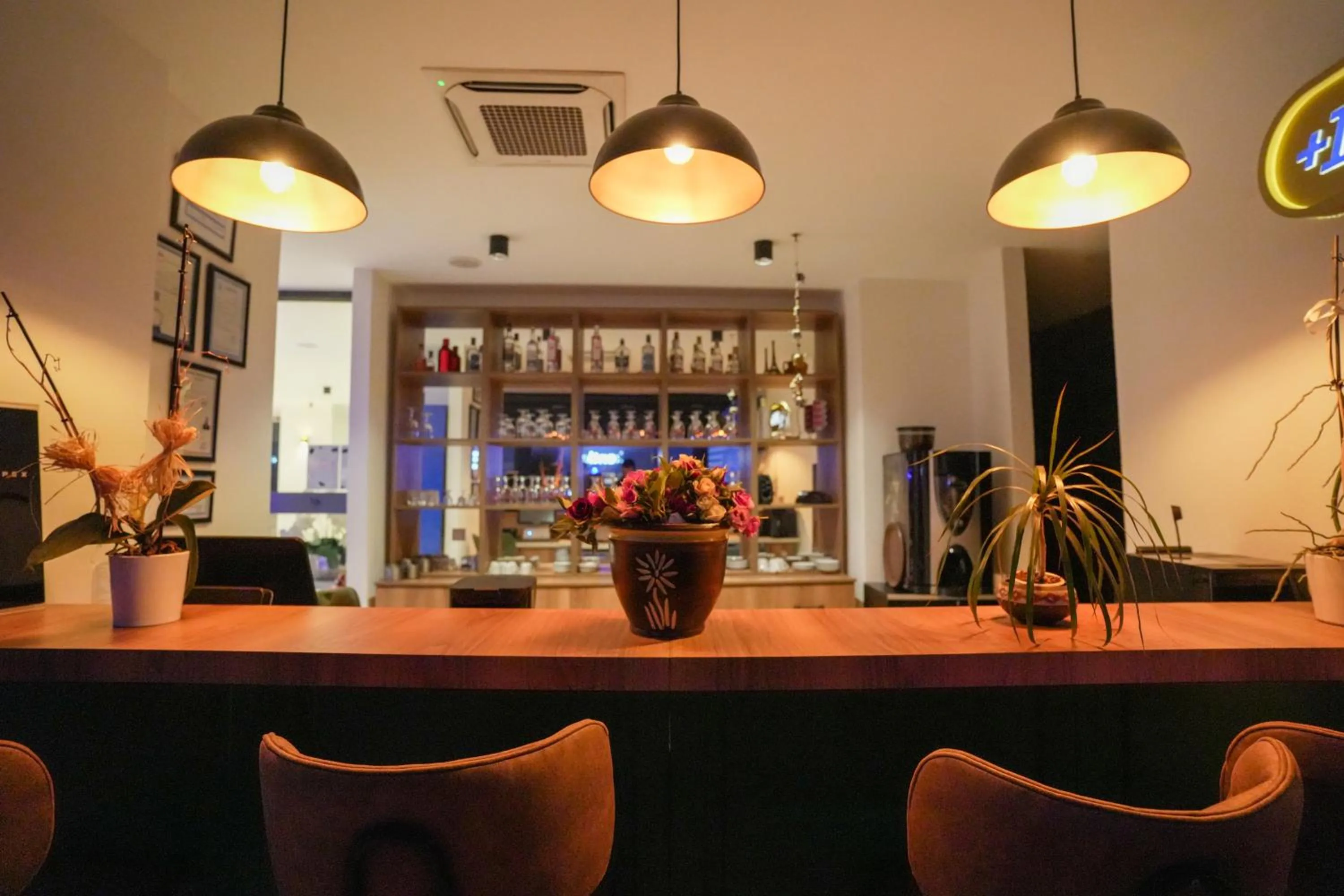 Lounge or bar in NK Hotel