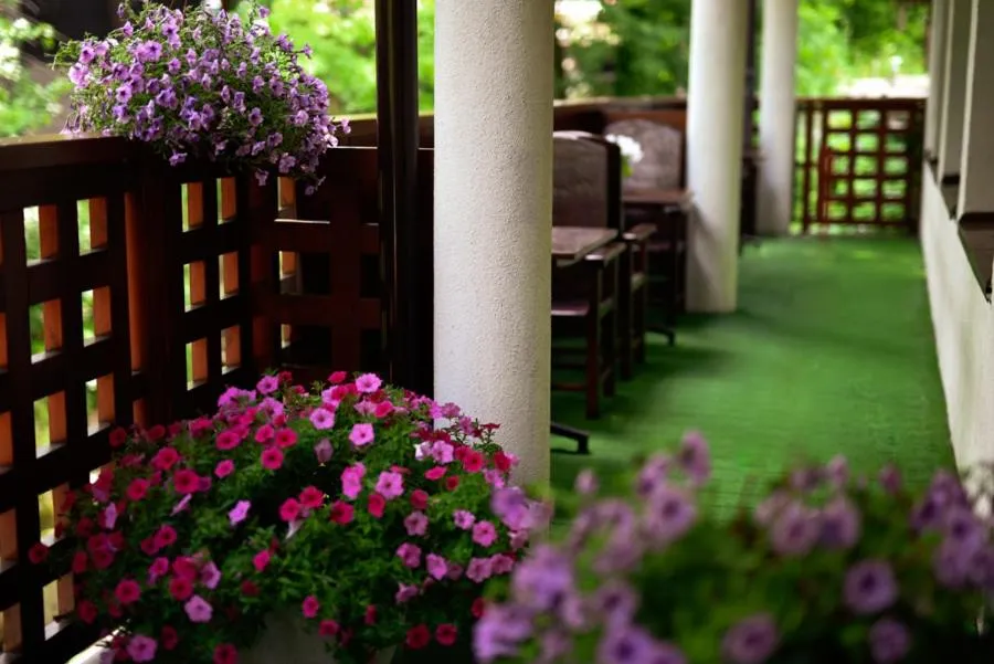 Hotel Promyk Wellness & Spa