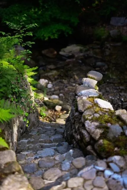 Natural landscape in Hotel Promyk Wellness & Spa