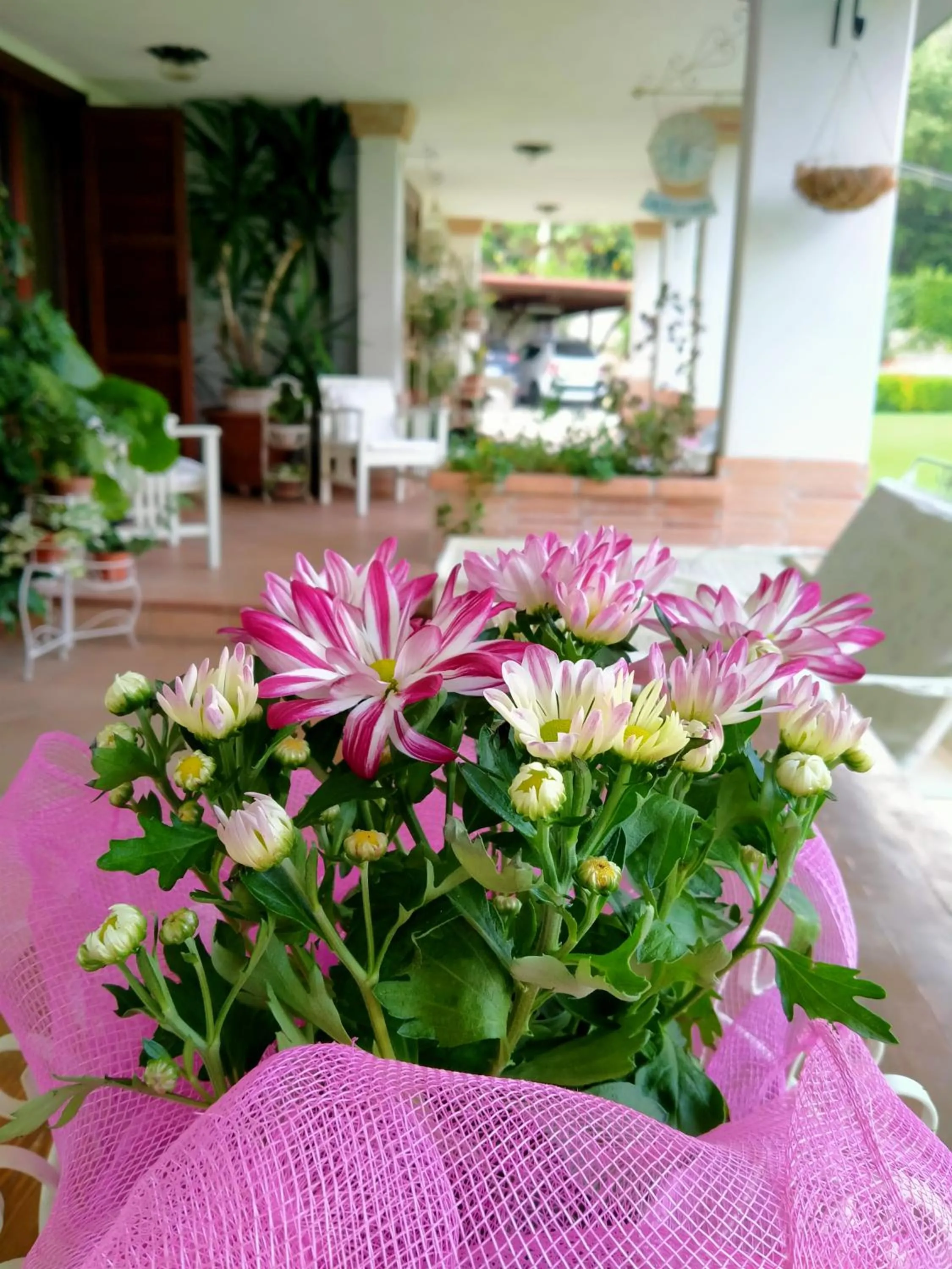 Patio in B&B Il Cantico