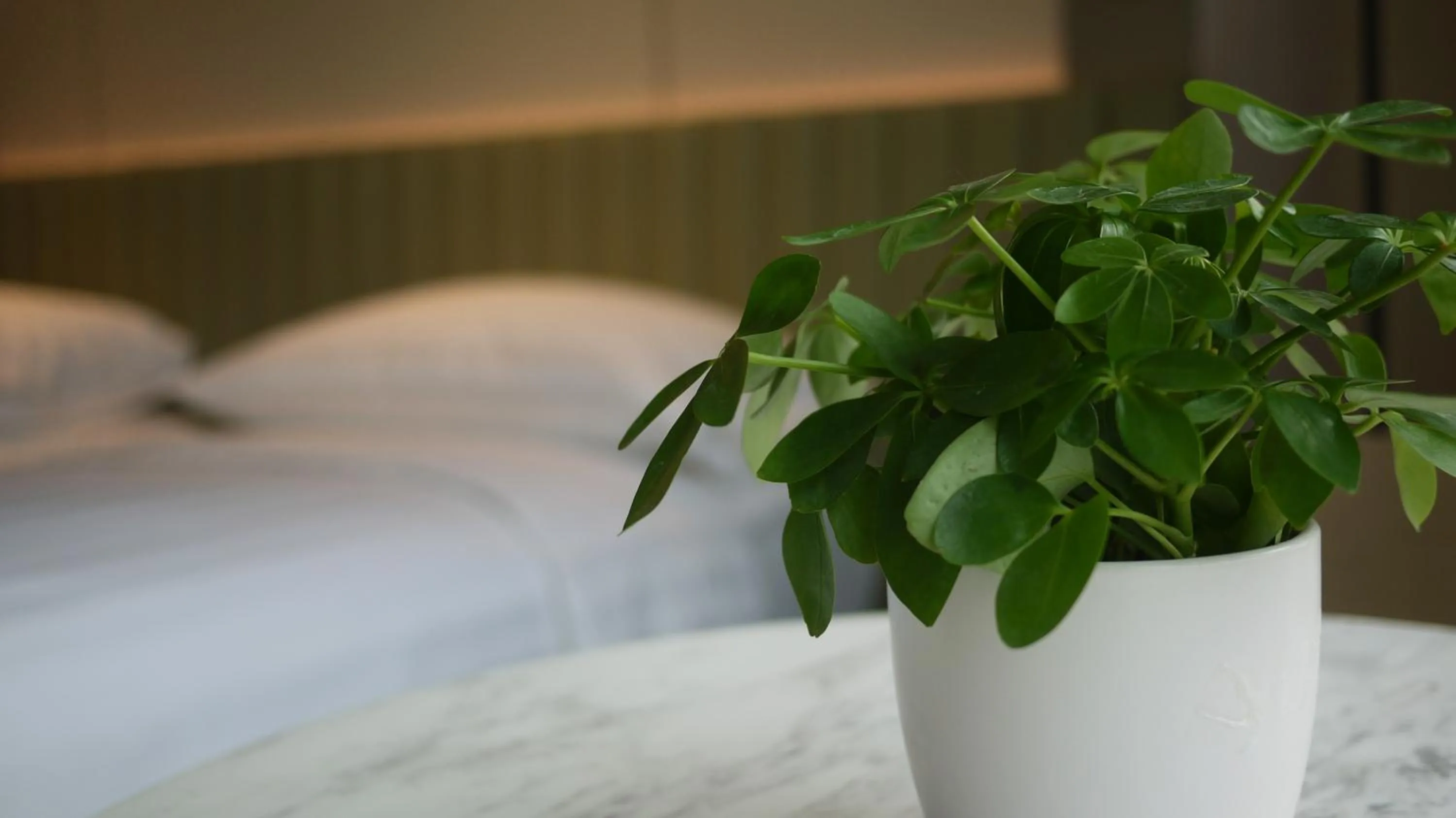 Bed in Dorsett Kai Tak