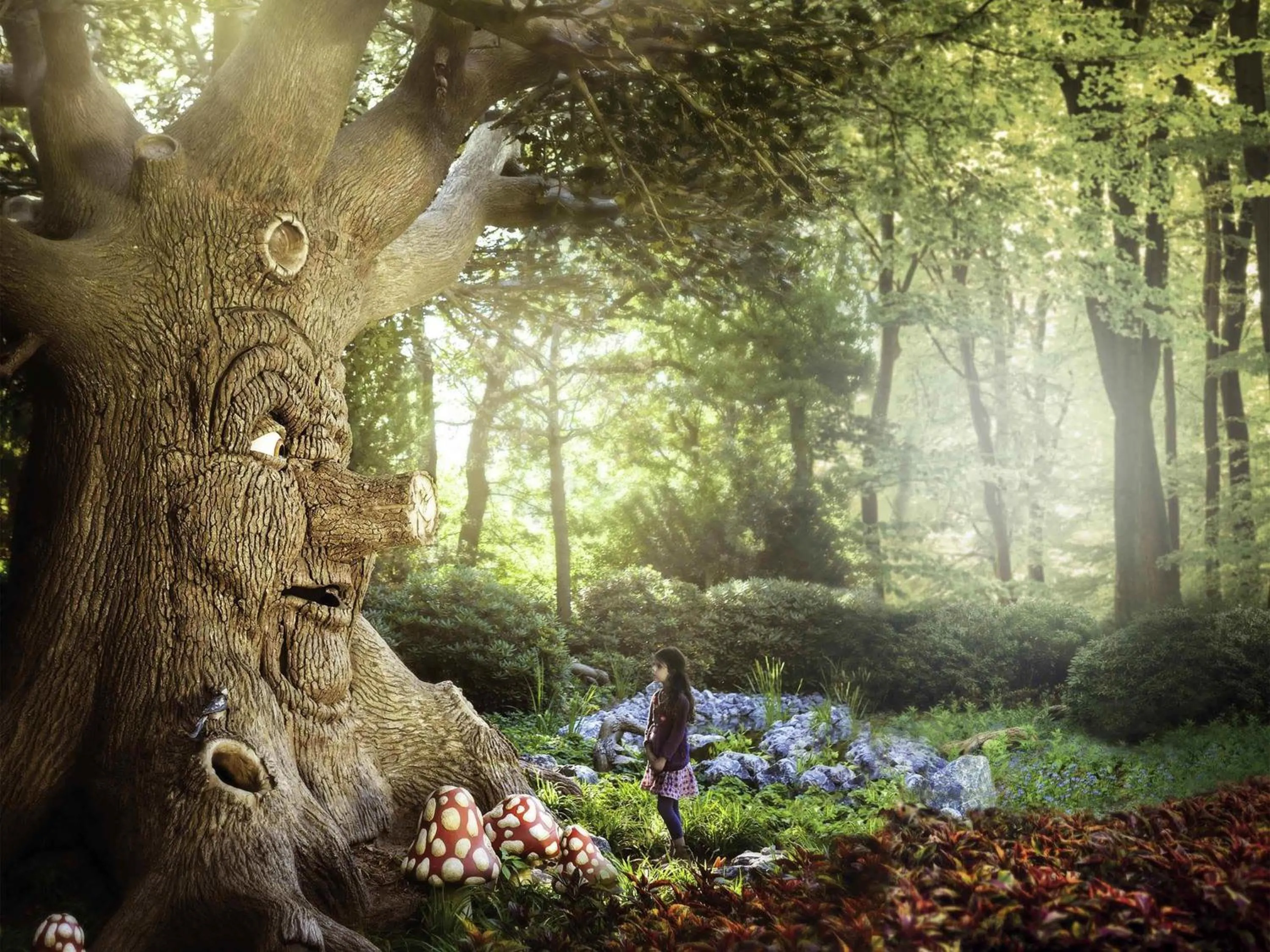 Other in ibis Tilburg