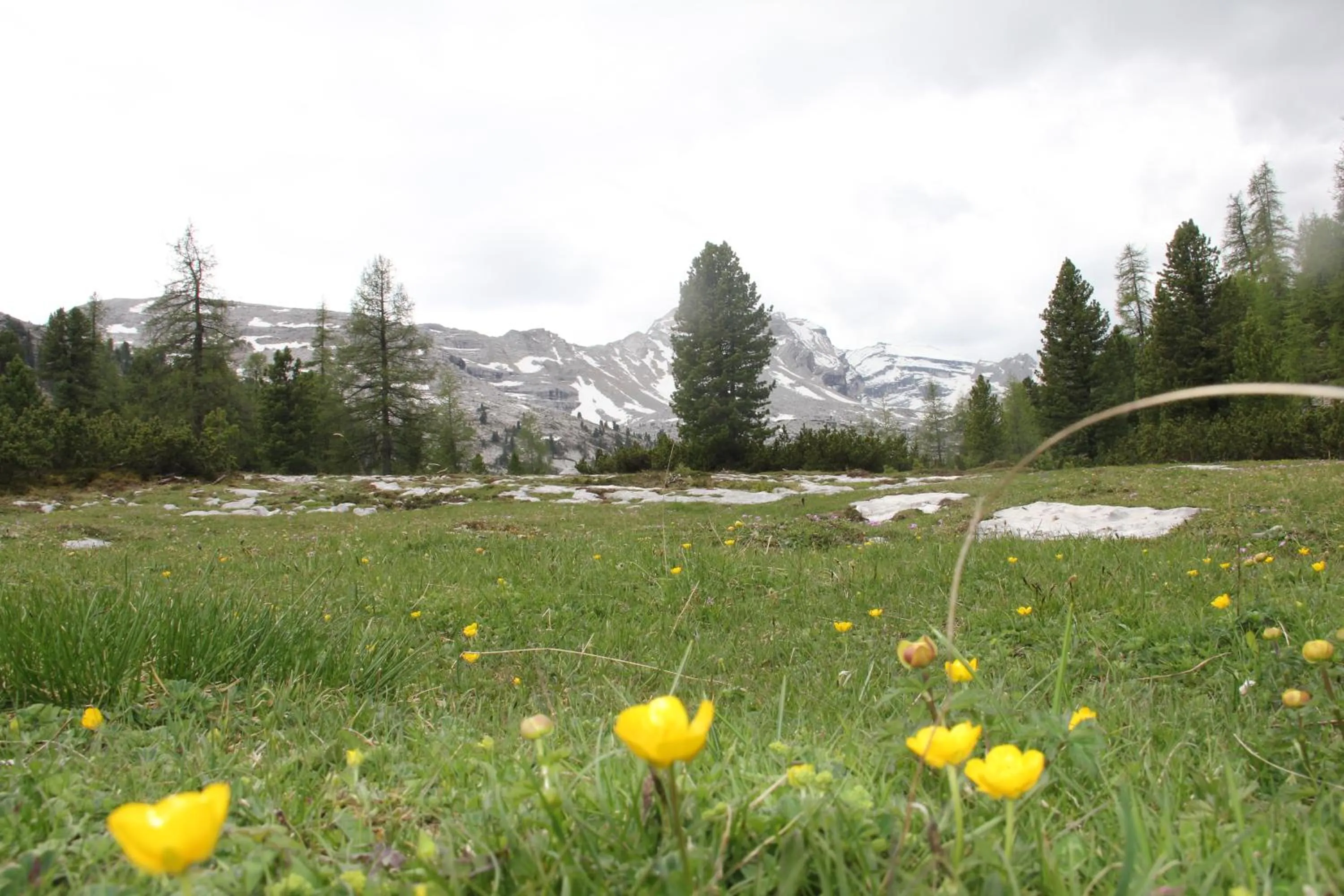 Hiking in Pension Arnica B&B