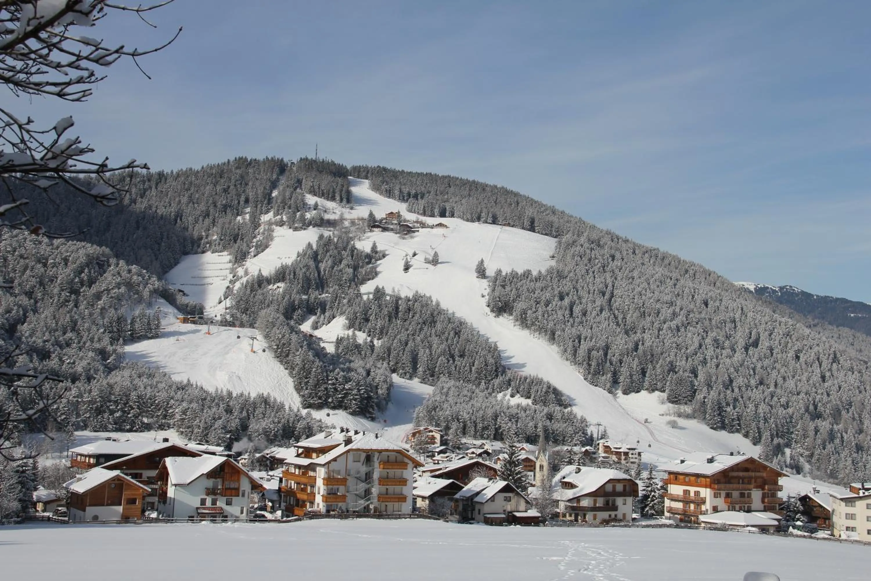 Natural landscape in Pension Arnica B&B