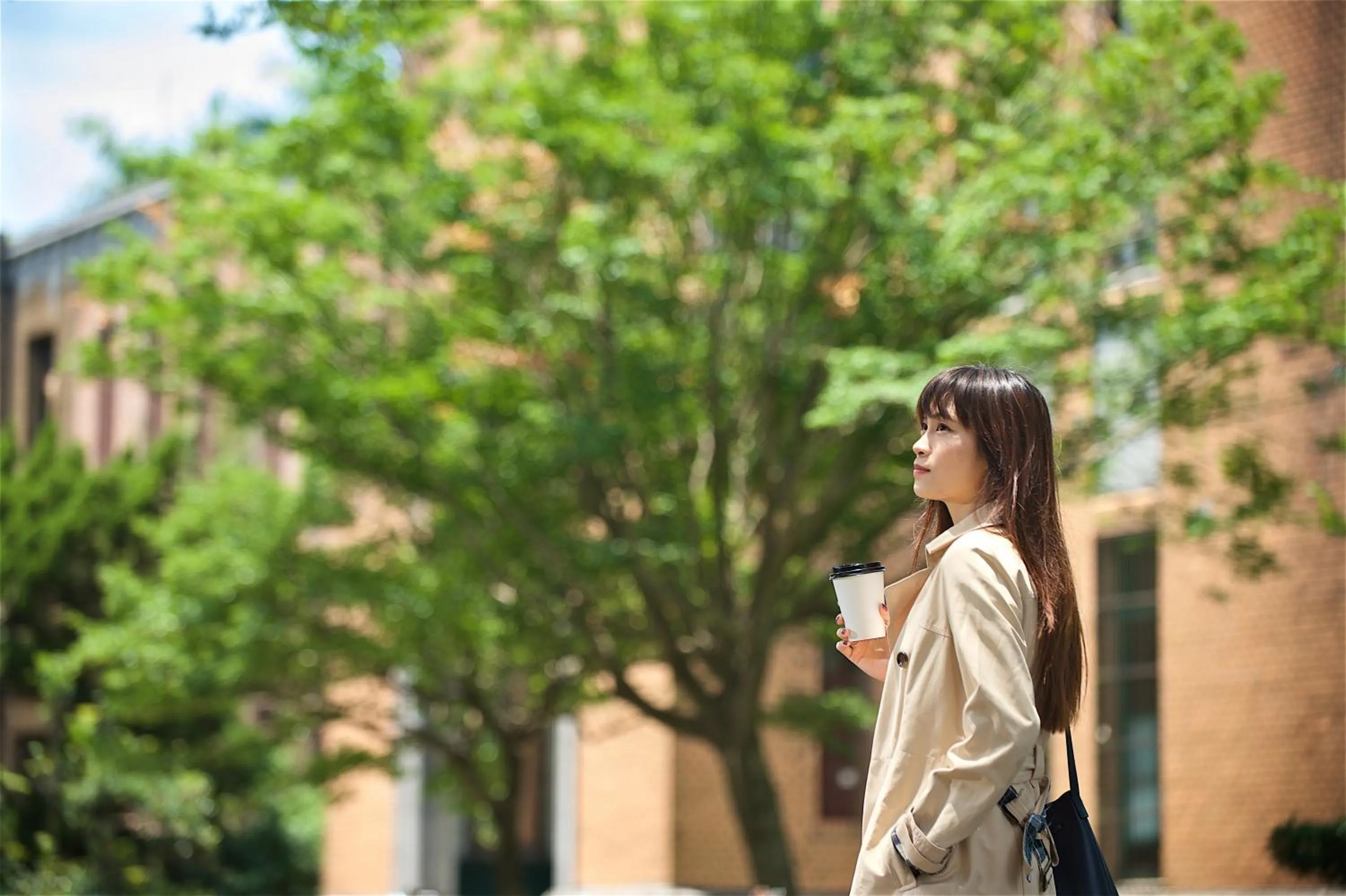 Just Sleep - Taipei NTU