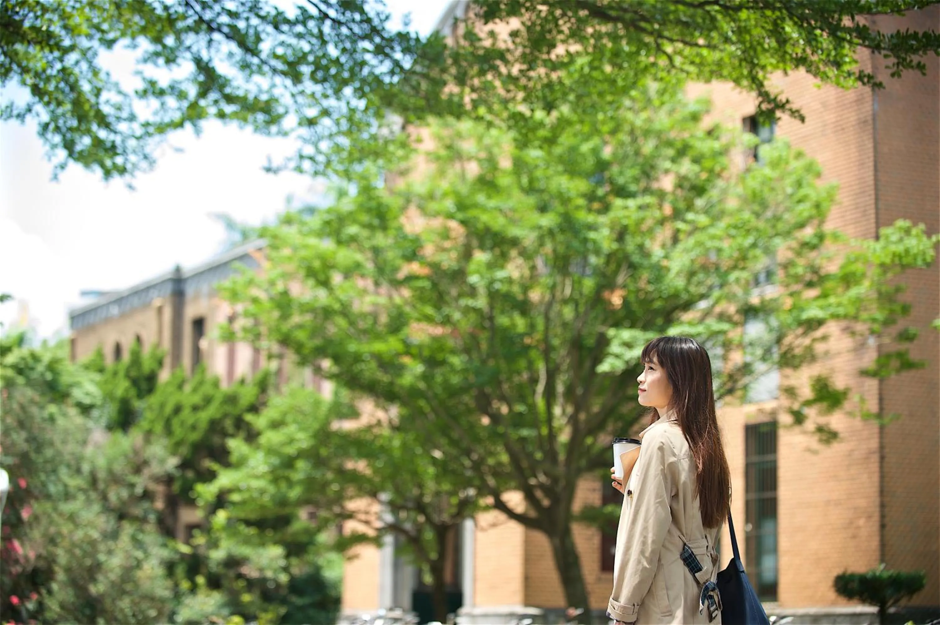 Just Sleep - Taipei NTU