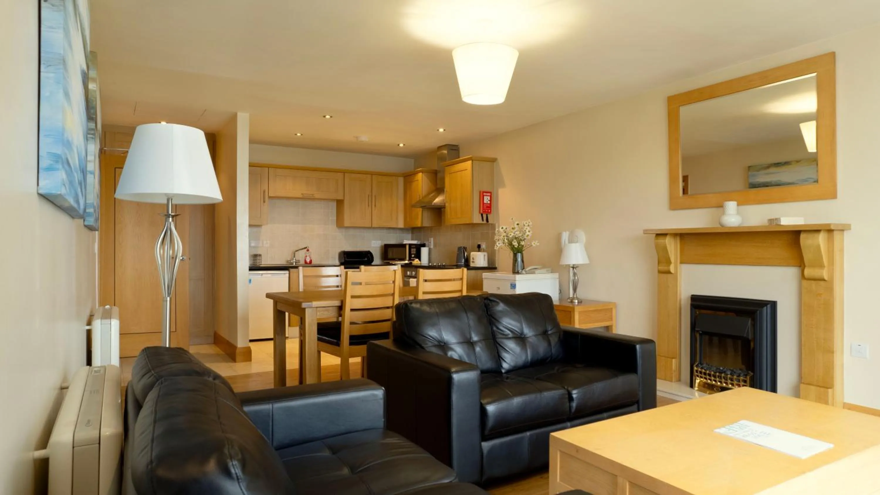 Kitchen or kitchenette in St Angela's Lakeside Aparthotel SALA