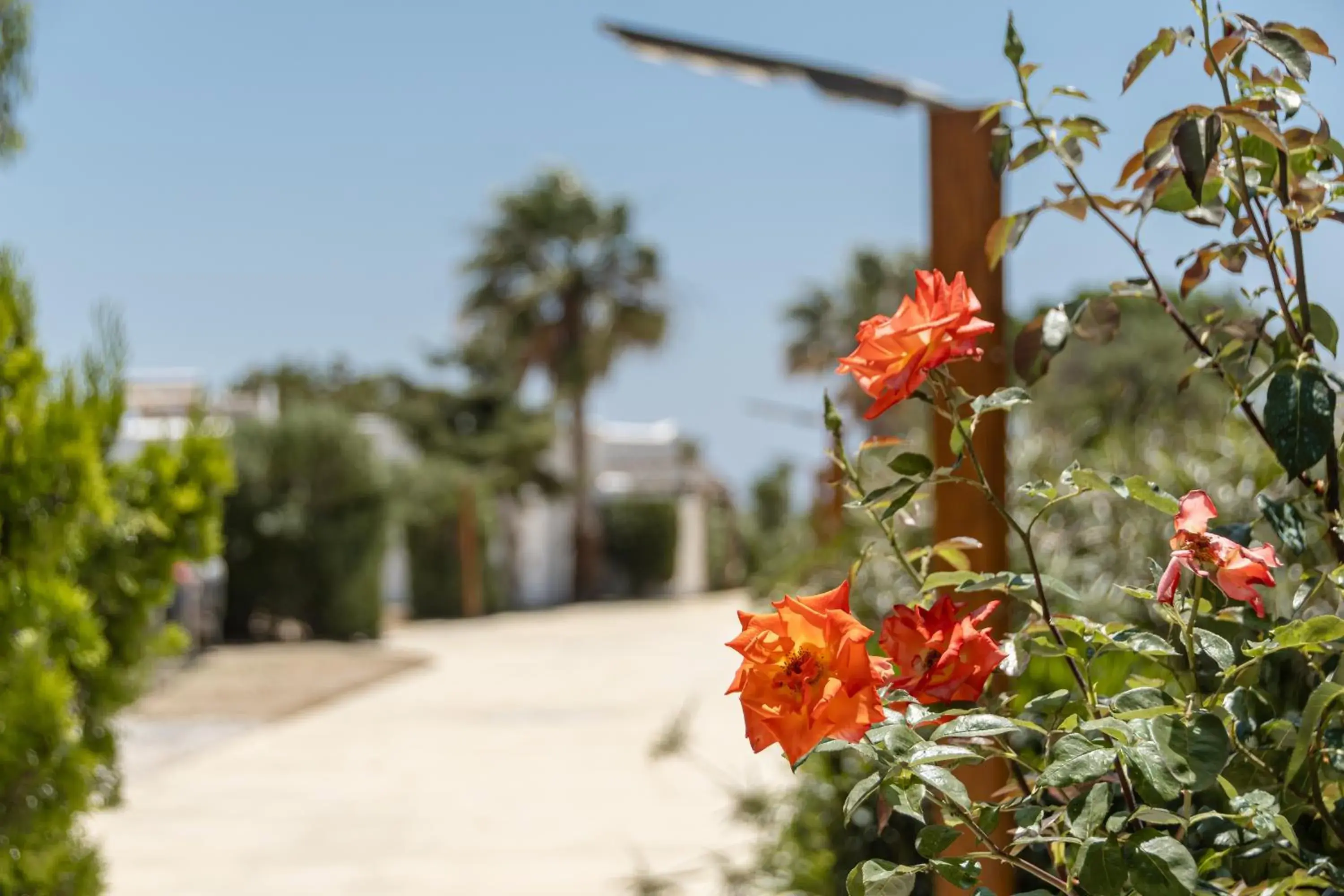 Property building in Glaronissi Beach Property building in Glaronissi Beach
