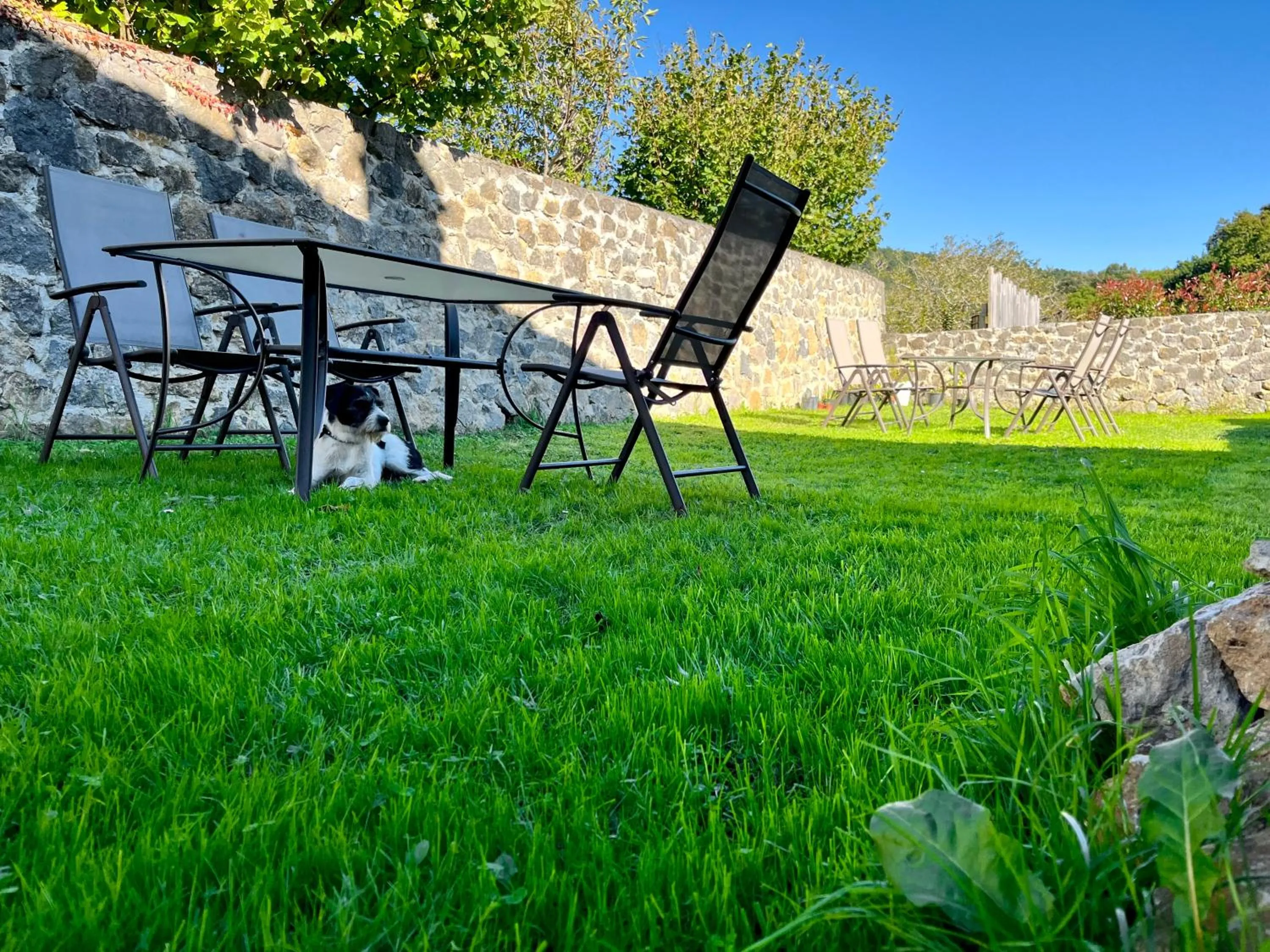 Garden in Casona Molinos del Agua