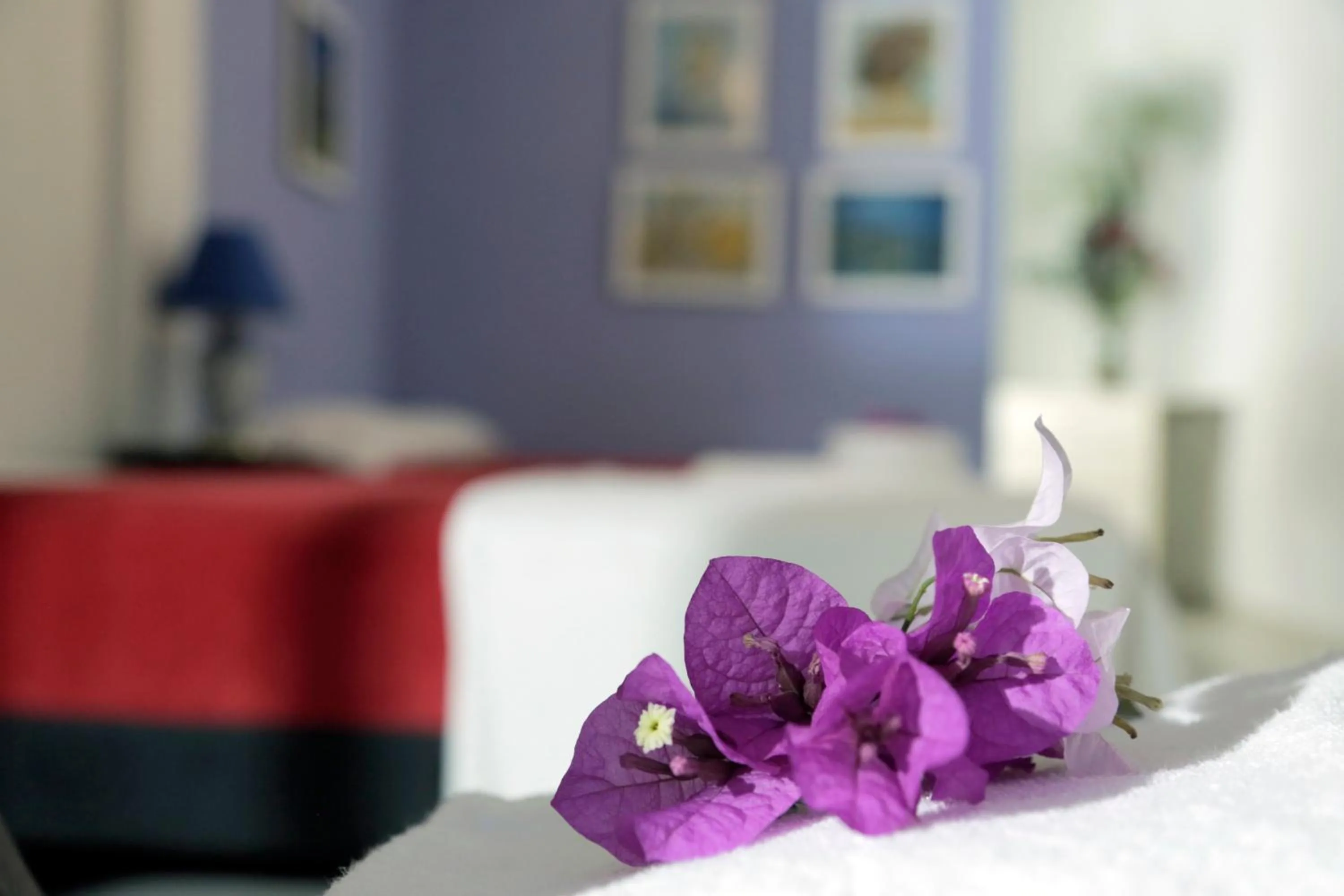 Bed in Posada Las Bromelias