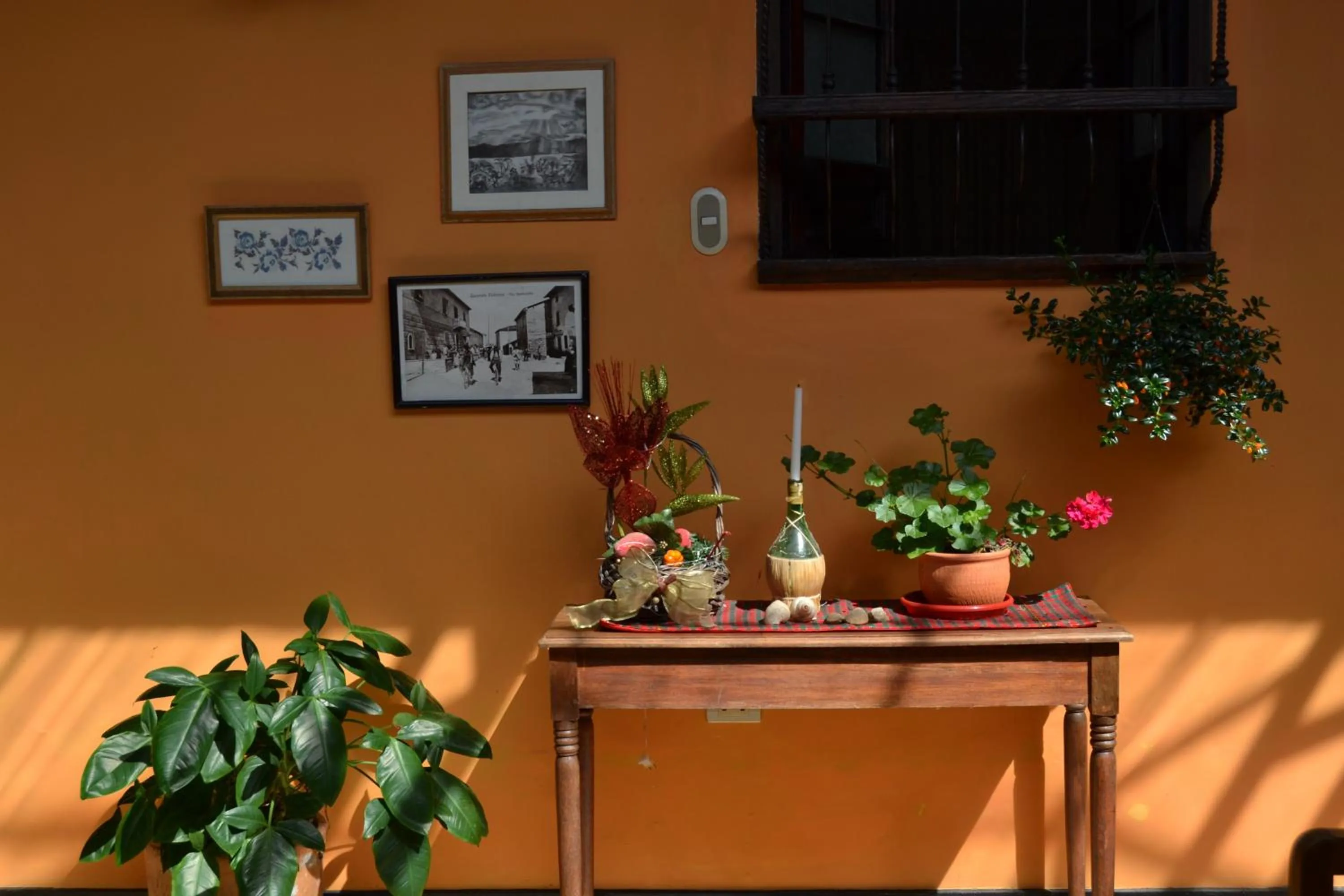 Patio in Posada Las Bromelias