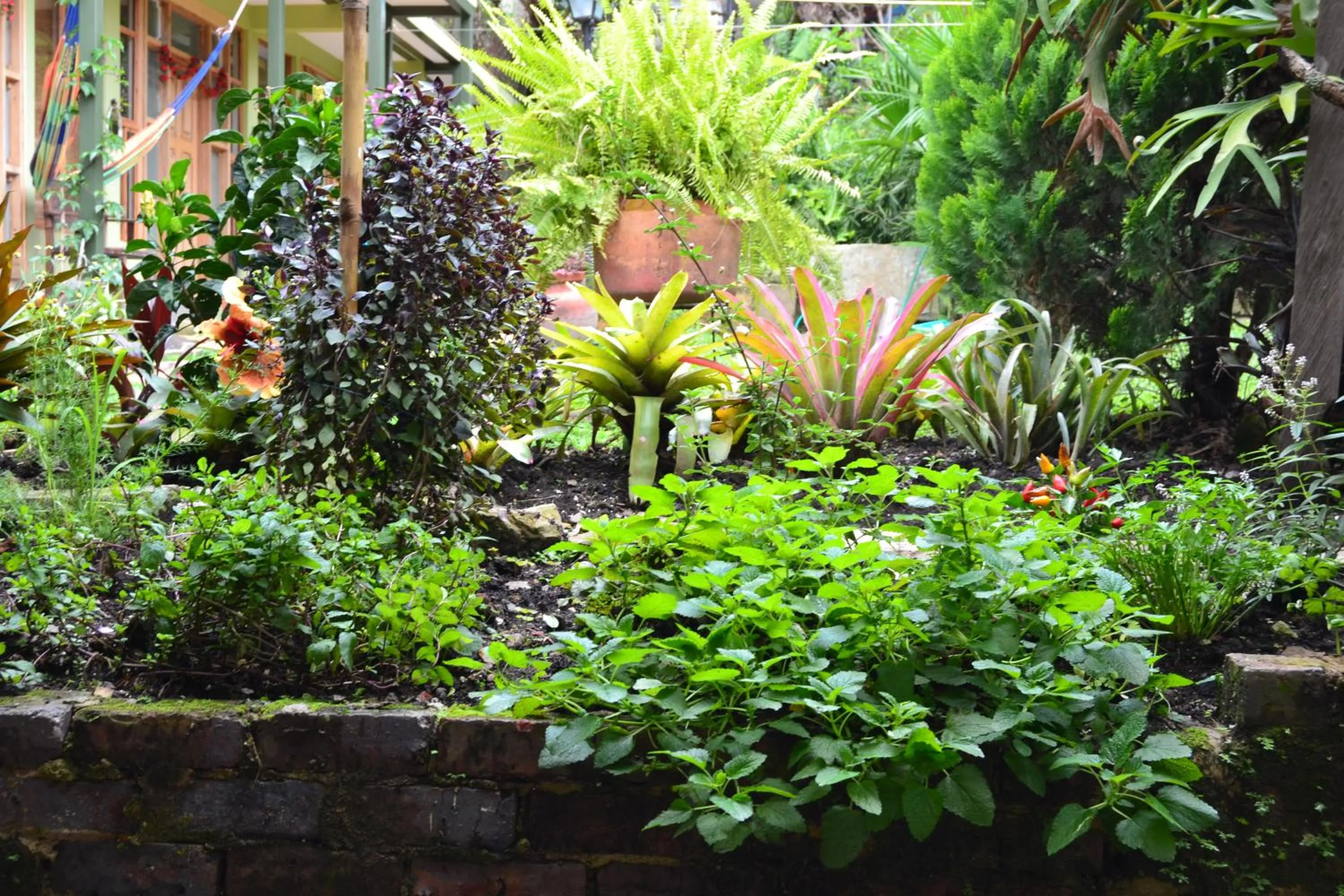 Other in Posada Las Bromelias