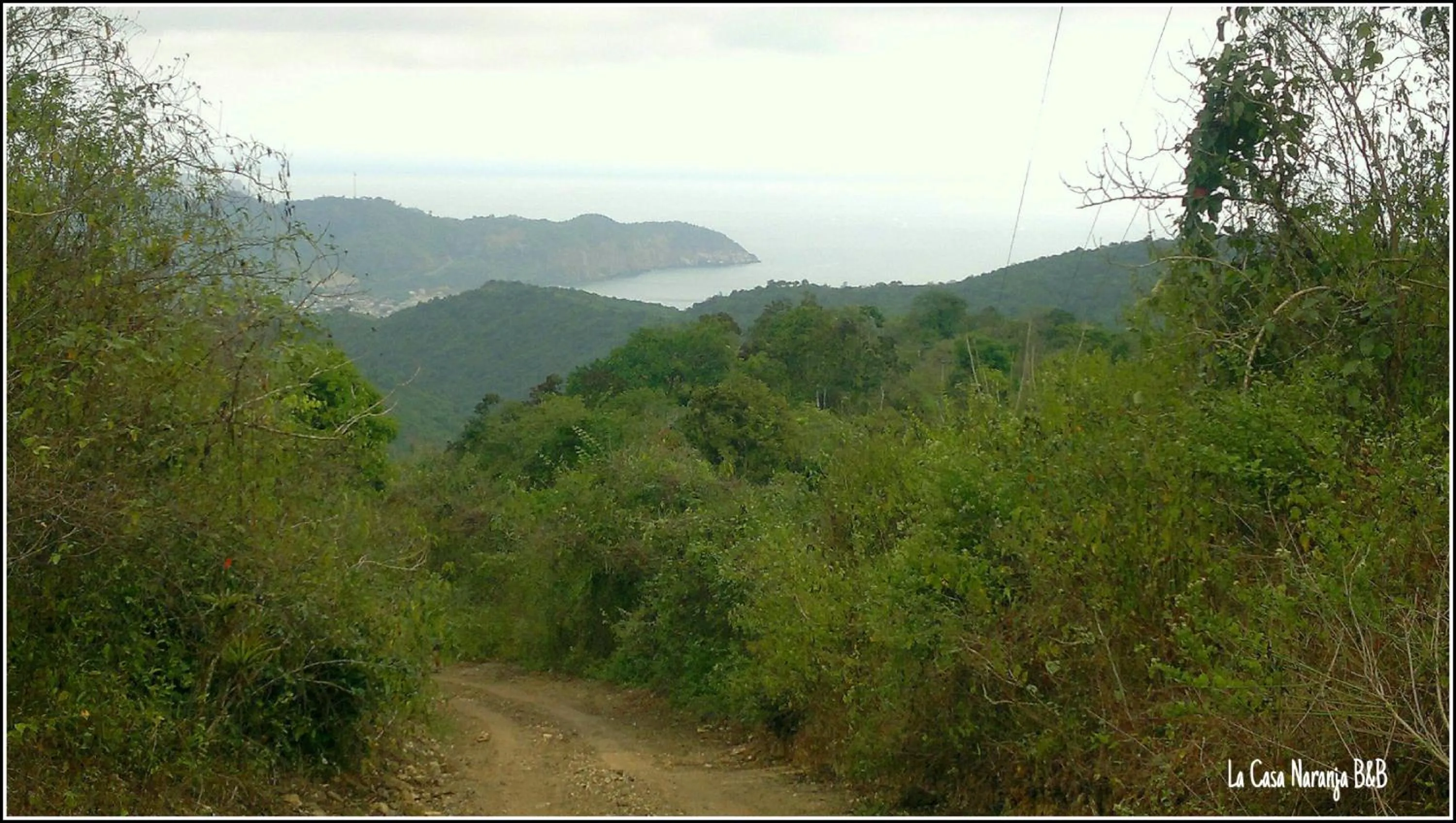 La Casa Naranja Bed and Breakfast