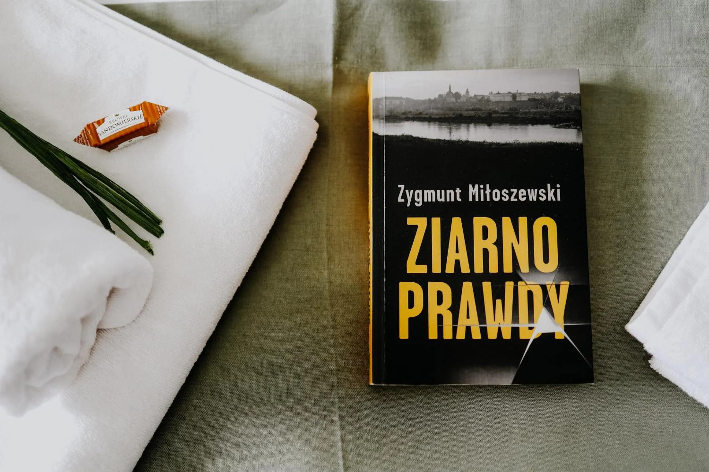 Library in Apartament Miasto i Wisła