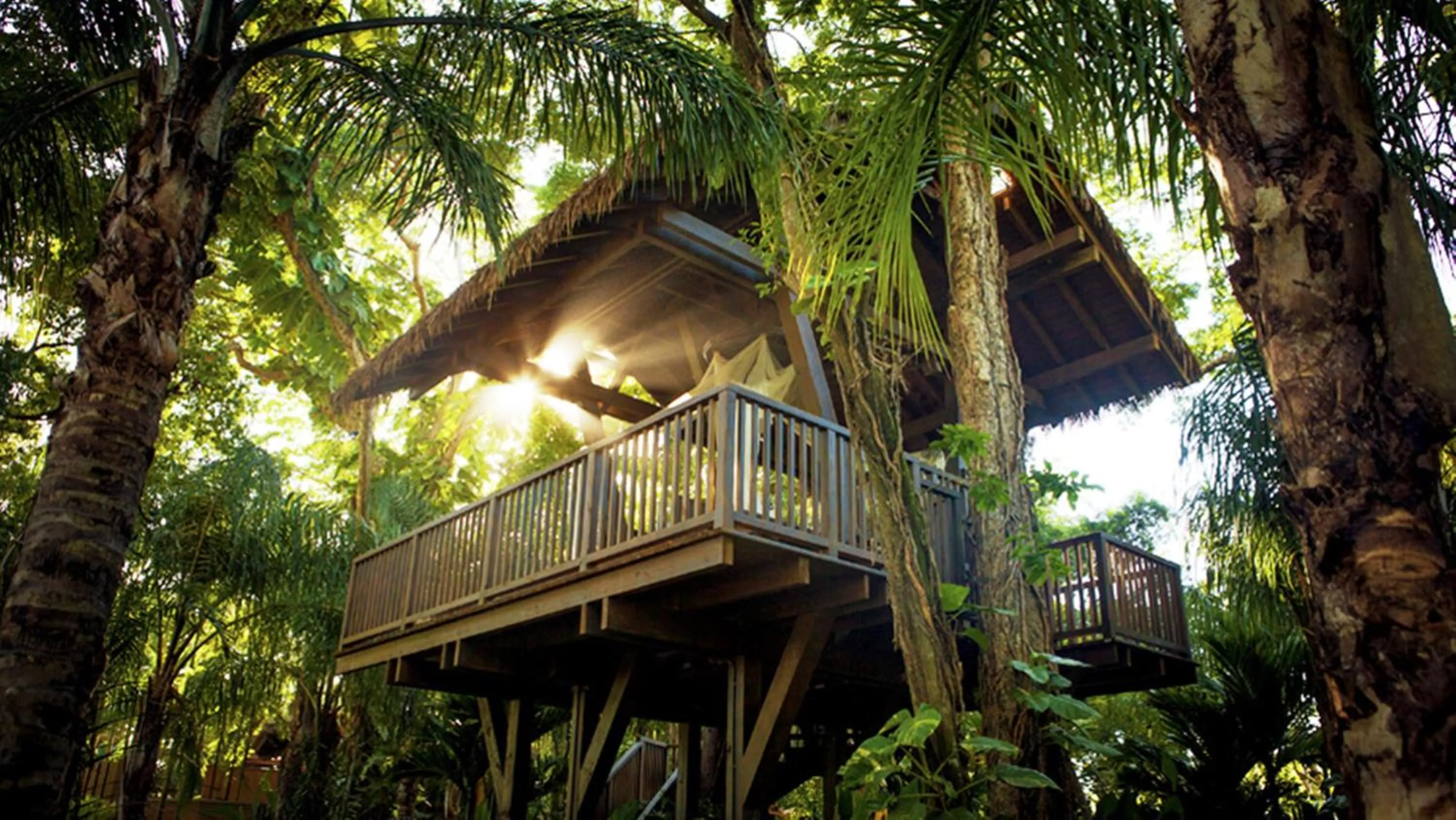 Spa and wellness centre/facilities in Residences at Dorado Beach, a Ritz Carlton Reserve