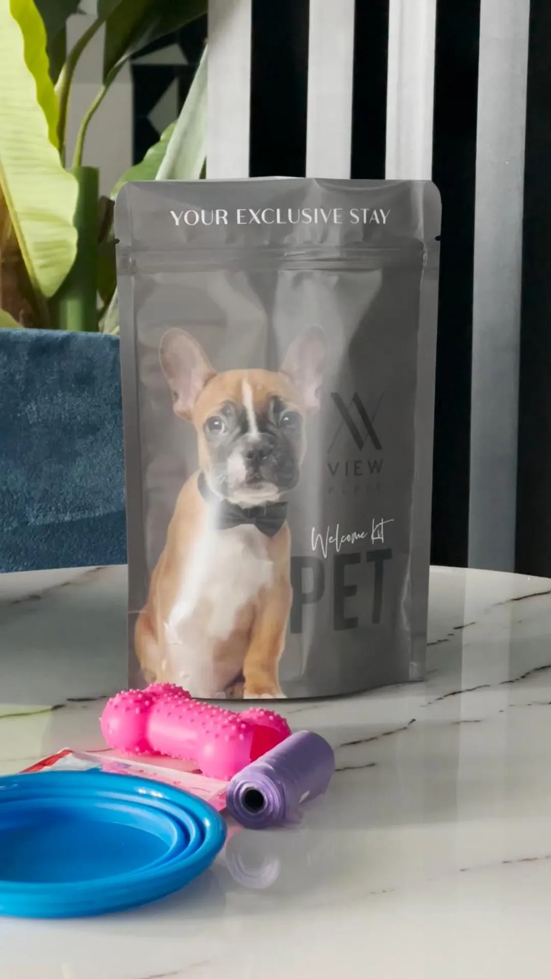 Pets in View Place & Spa