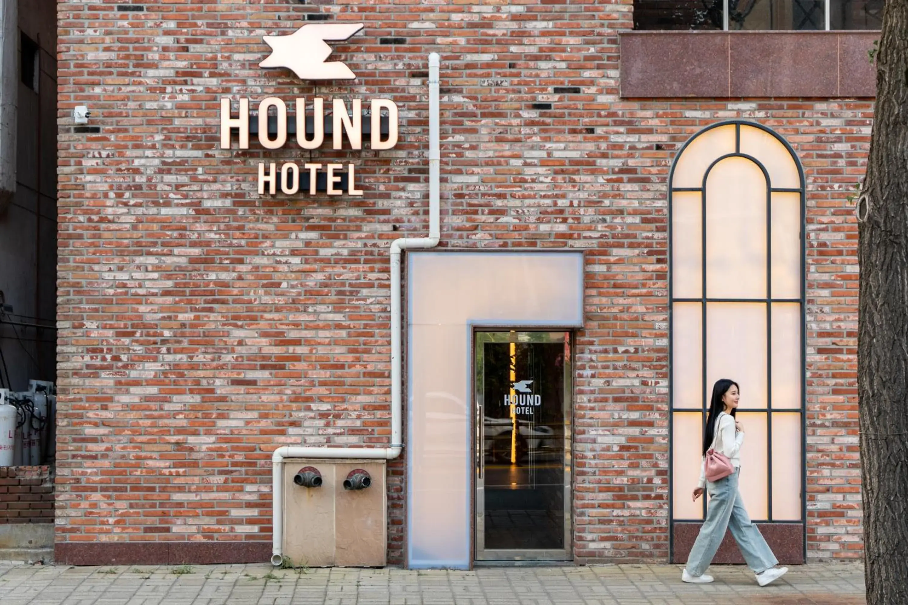 Jecheon Hound Hotel Jecheon Hound Hotel
