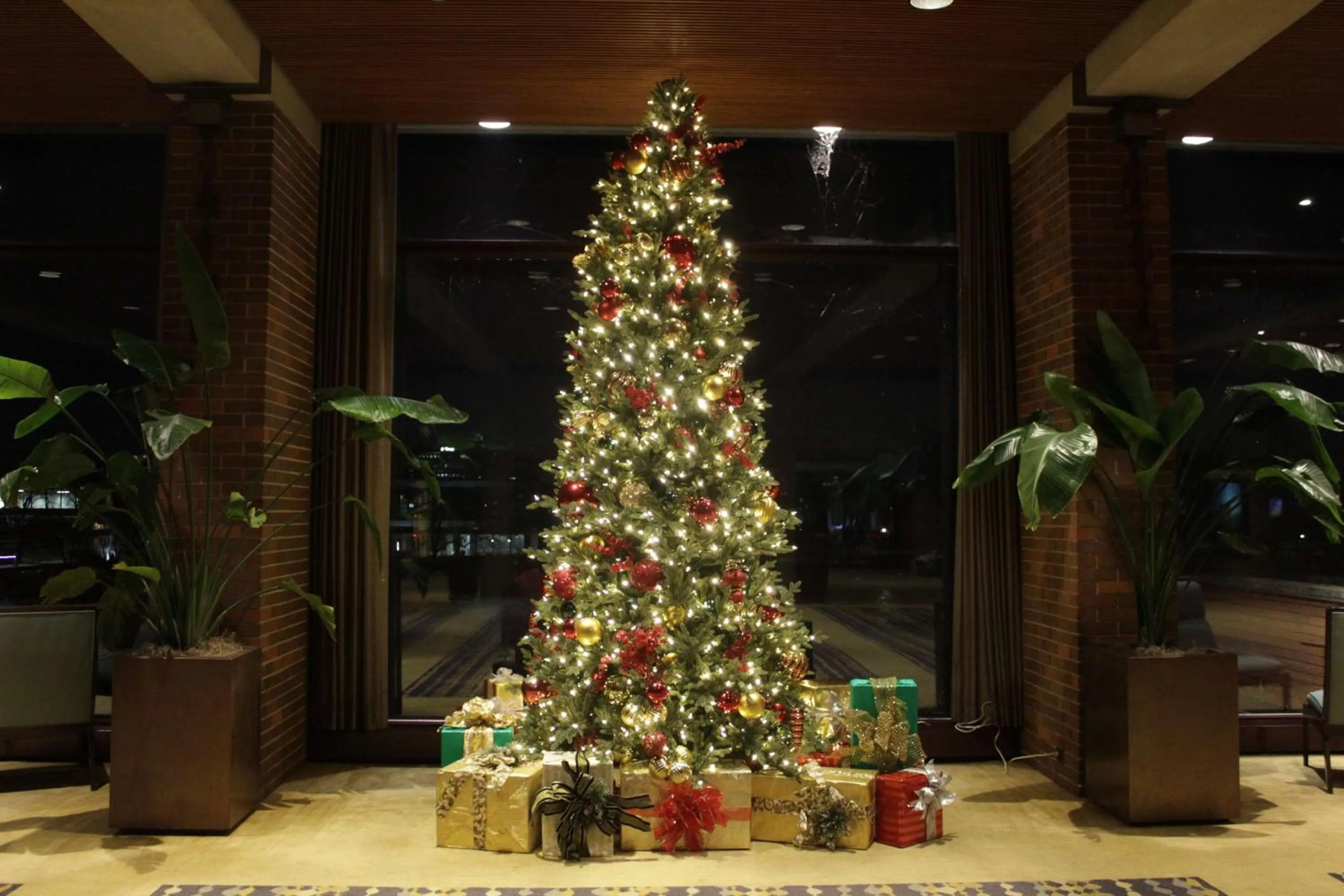 Lobby or reception in Hyatt Lodge Oak Brook Chicago