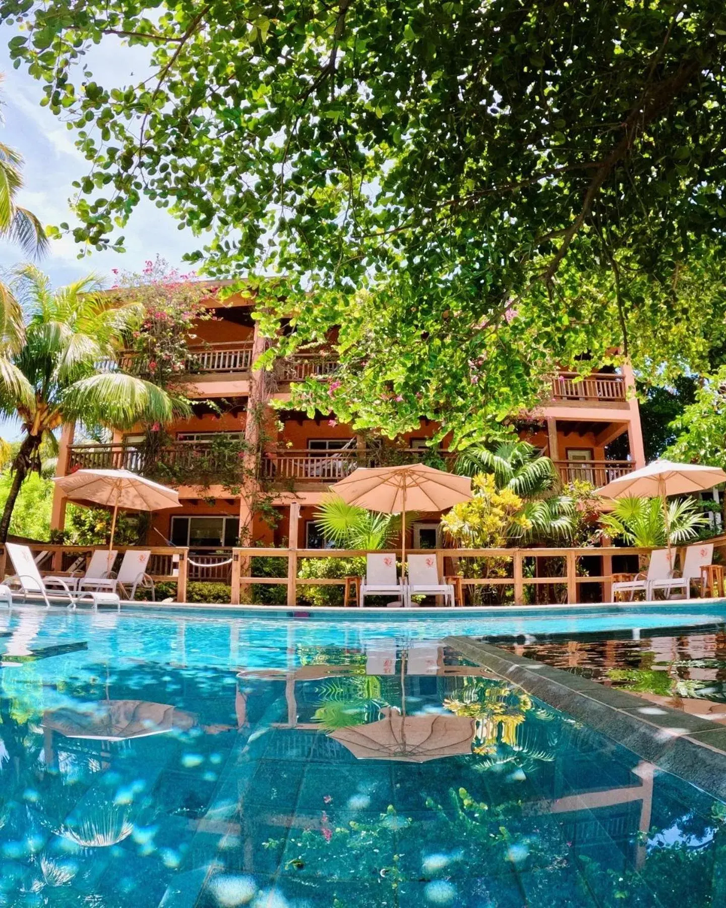 Deluxe Studio with Sea View in Hotel Posada Seremein ,West Bay ,Roatan Deluxe Studio with Sea View in Hotel Posada Seremein ,West Bay ,Roatan