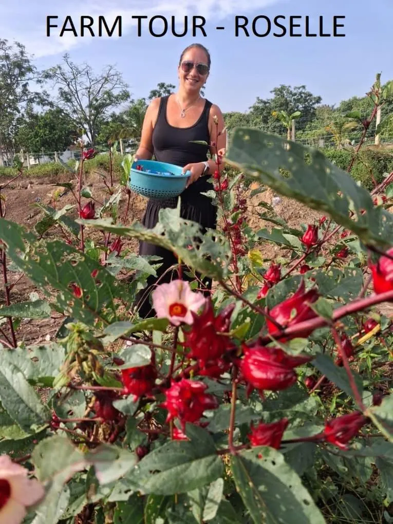 Garden in GLG KLIA Transit House