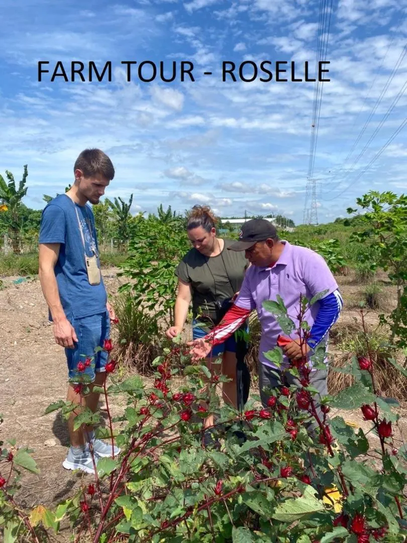 Garden in GLG KLIA Transit House
