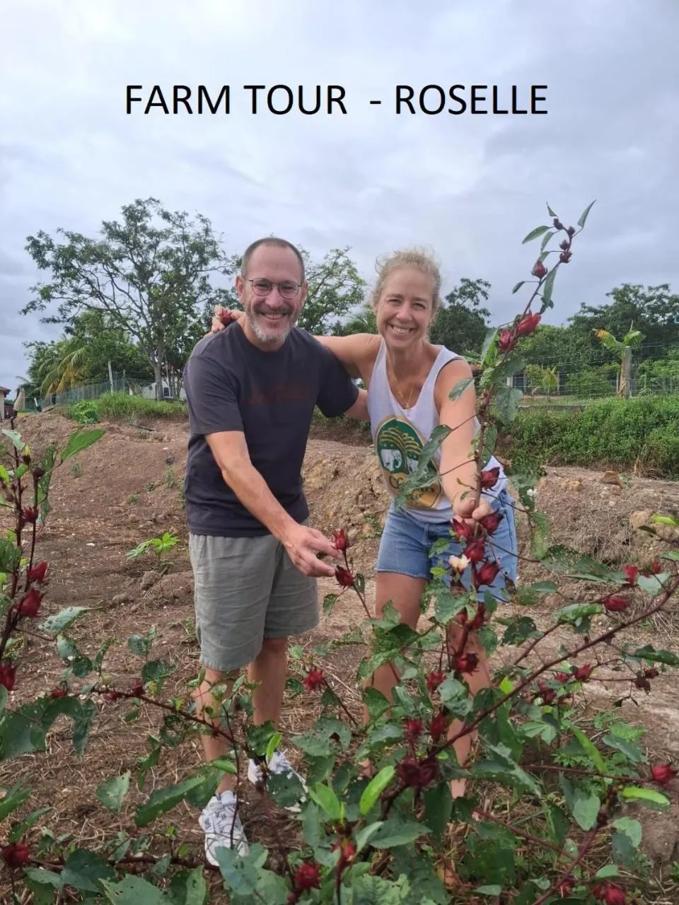Garden in GLG KLIA Transit House