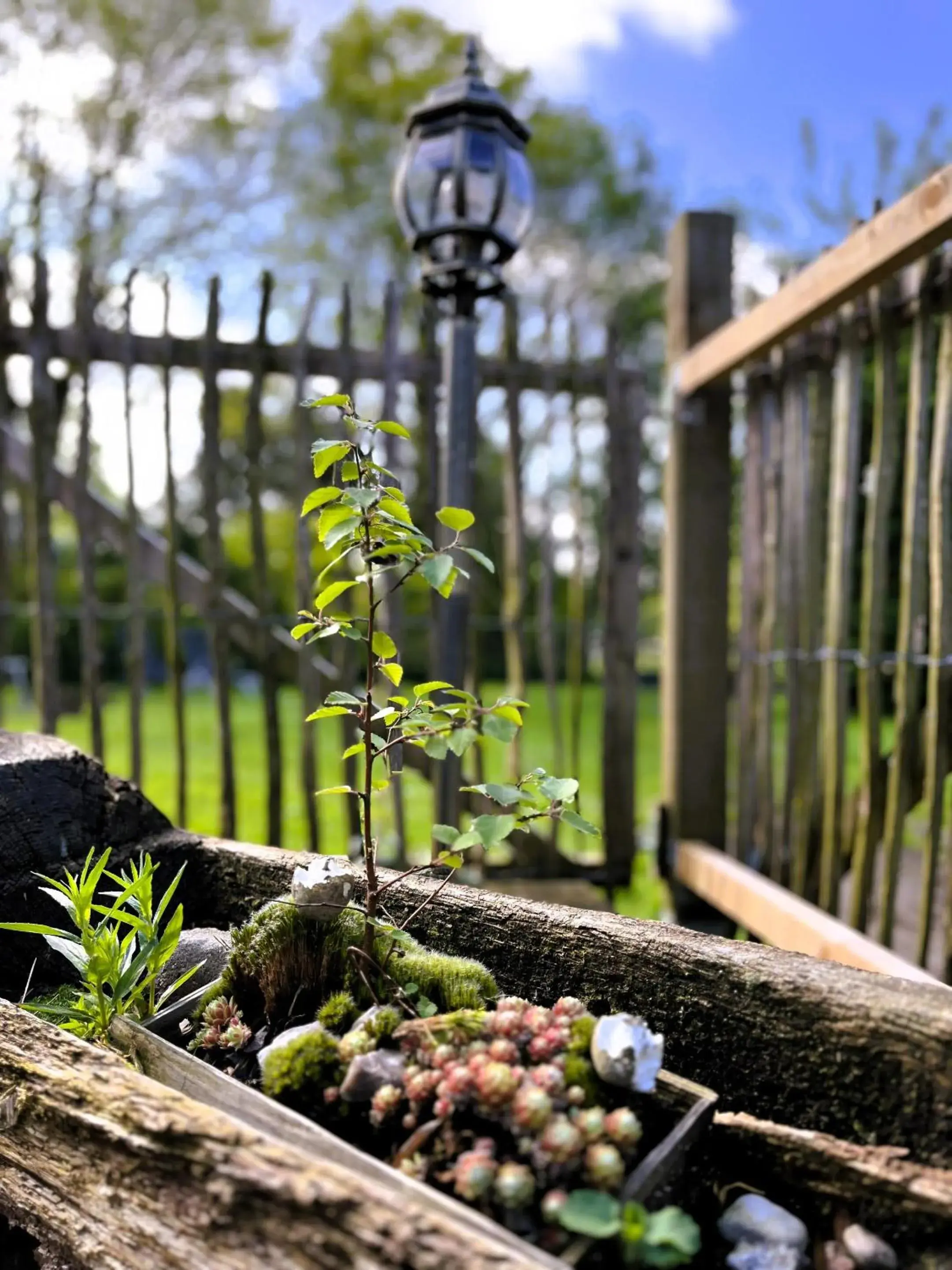 Property building in Landhotel Rehedyk Property building in Landhotel Rehedyk