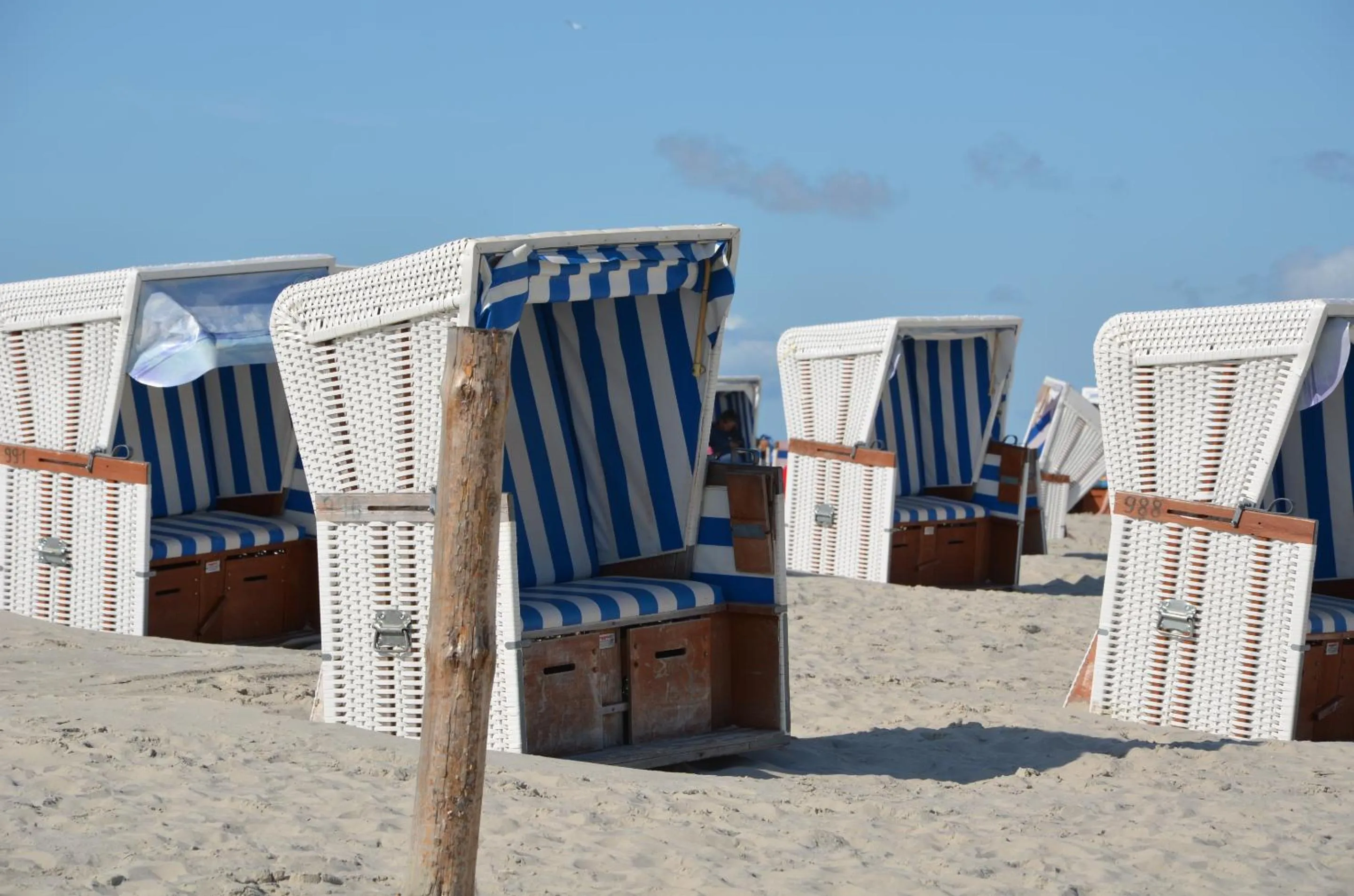 Activities in Landhotel Rehedyk