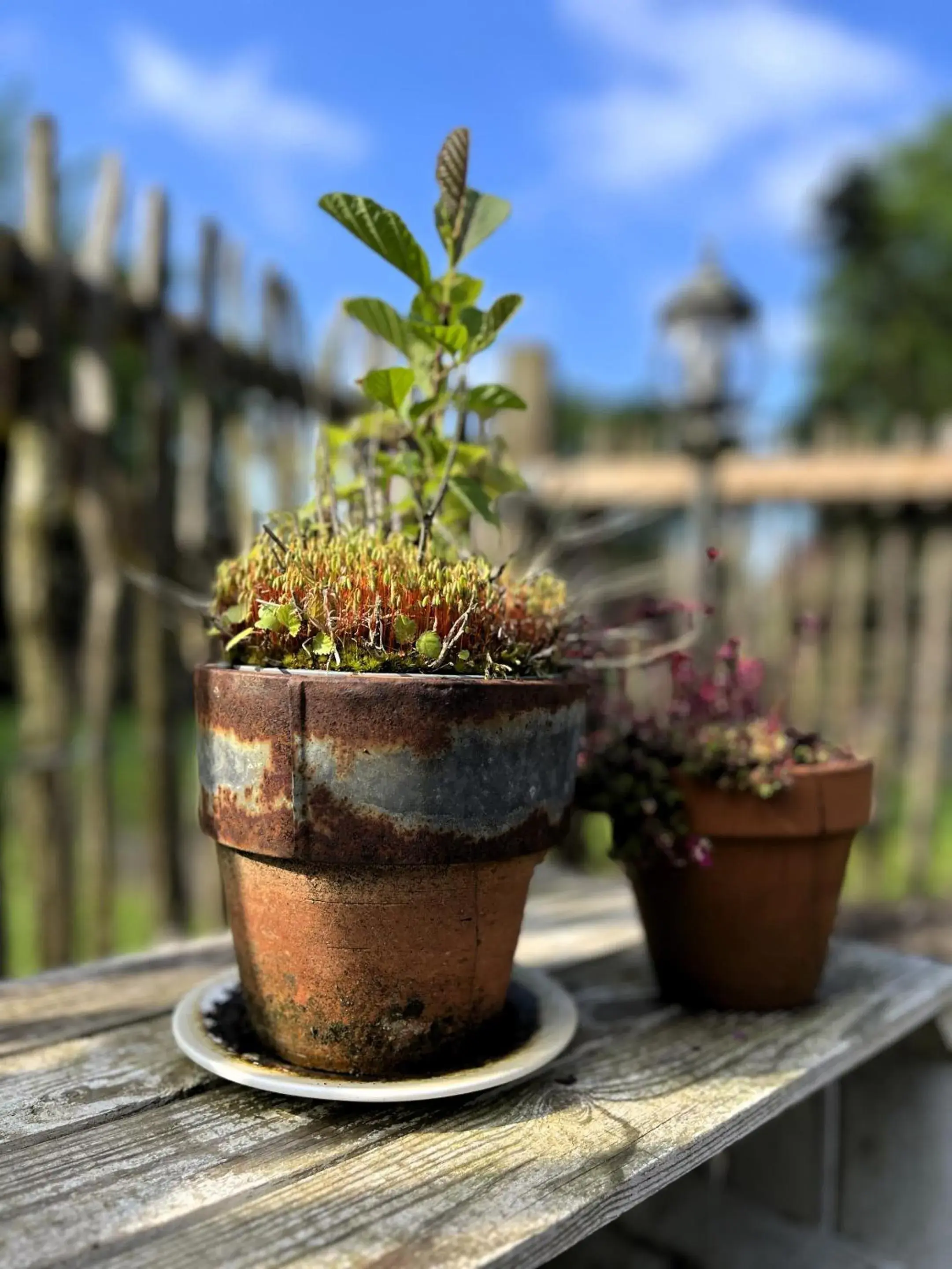 Property building in Landhotel Rehedyk Property building in Landhotel Rehedyk