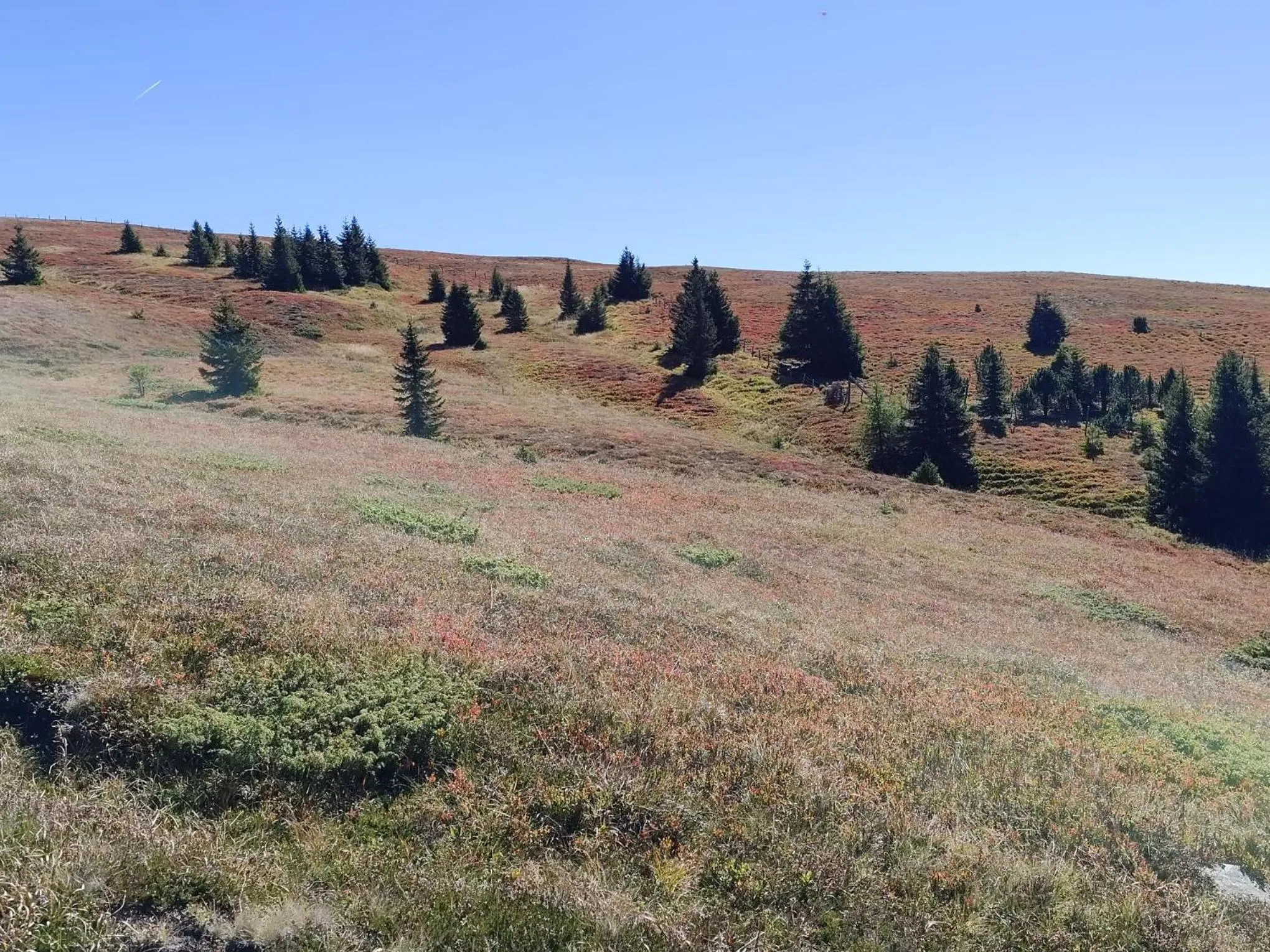 Natural landscape in Hotel Prechtlhof