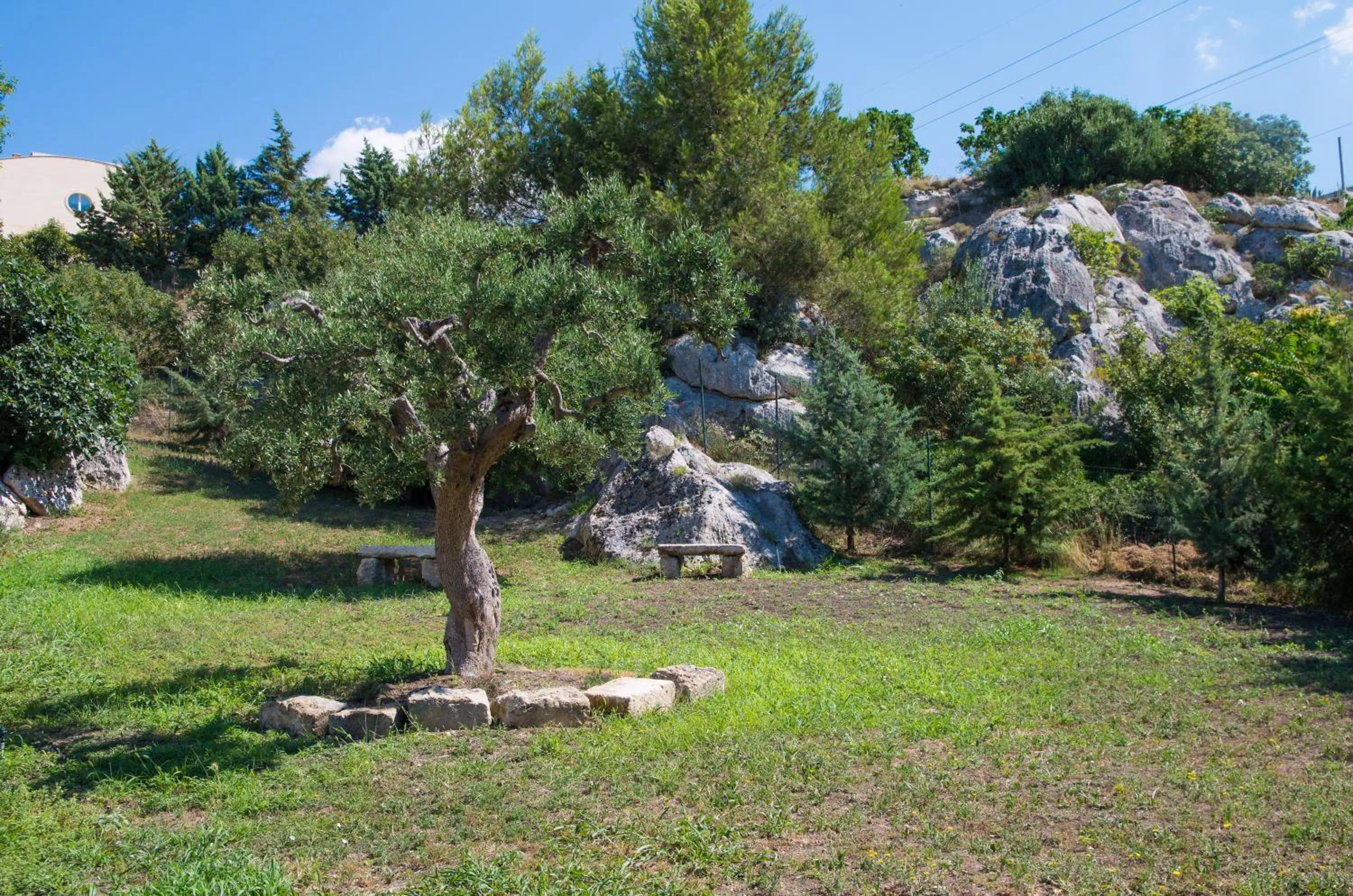 Natural landscape in Residence Masseria Santa Lucia