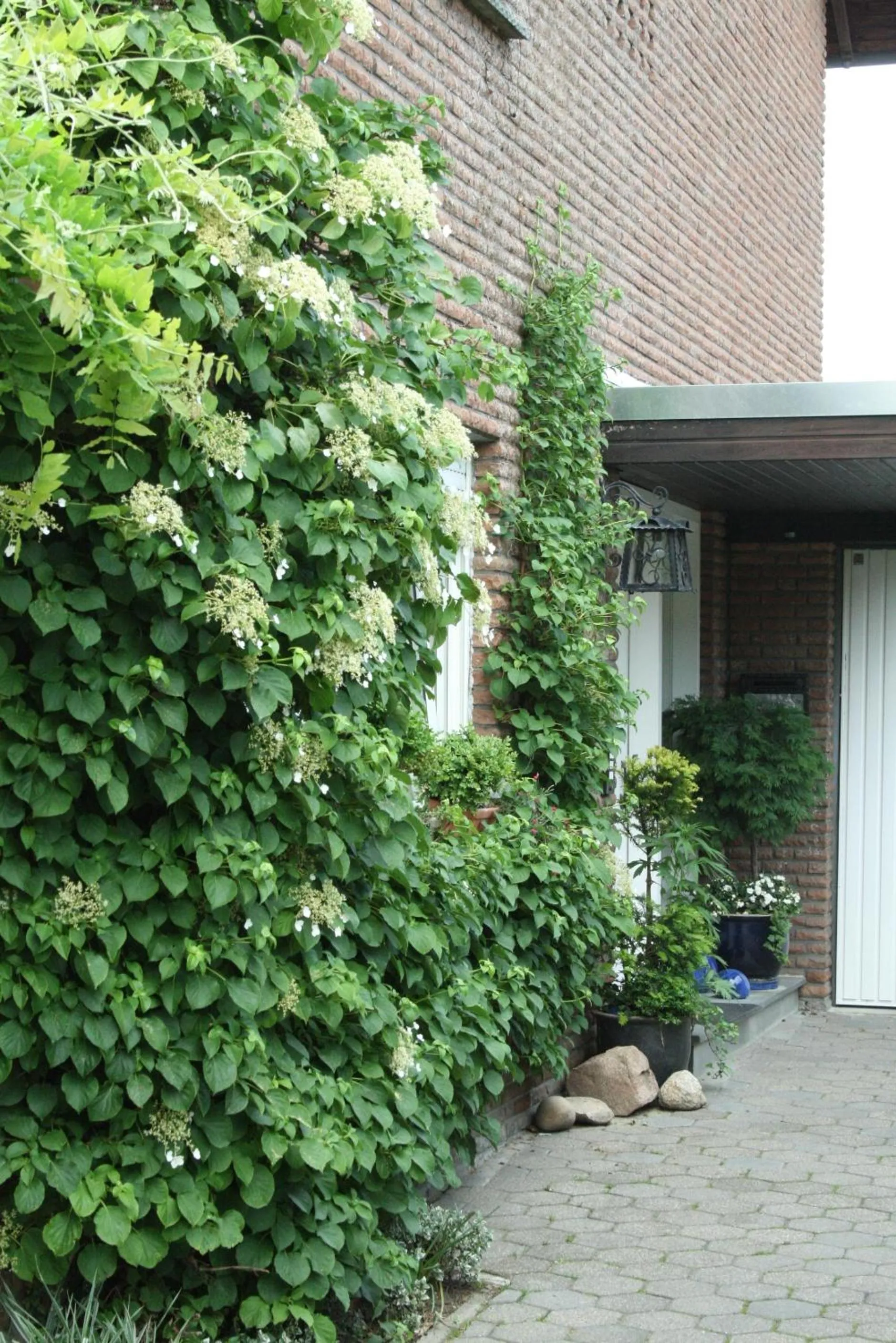 Facade/entrance in Ferienwohnung Illerhues