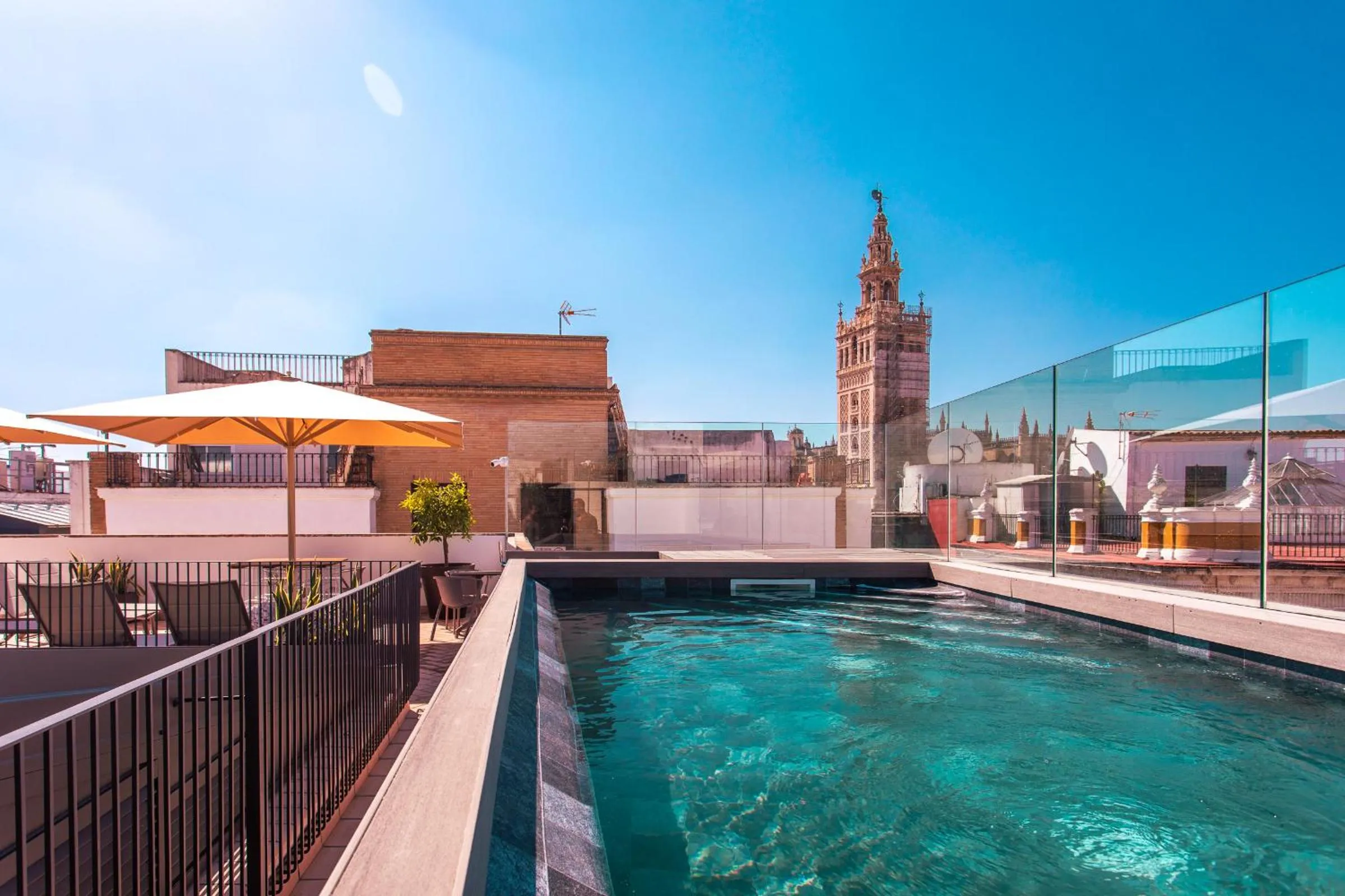 Swimming pool in Casa Alhaja by Shiadu