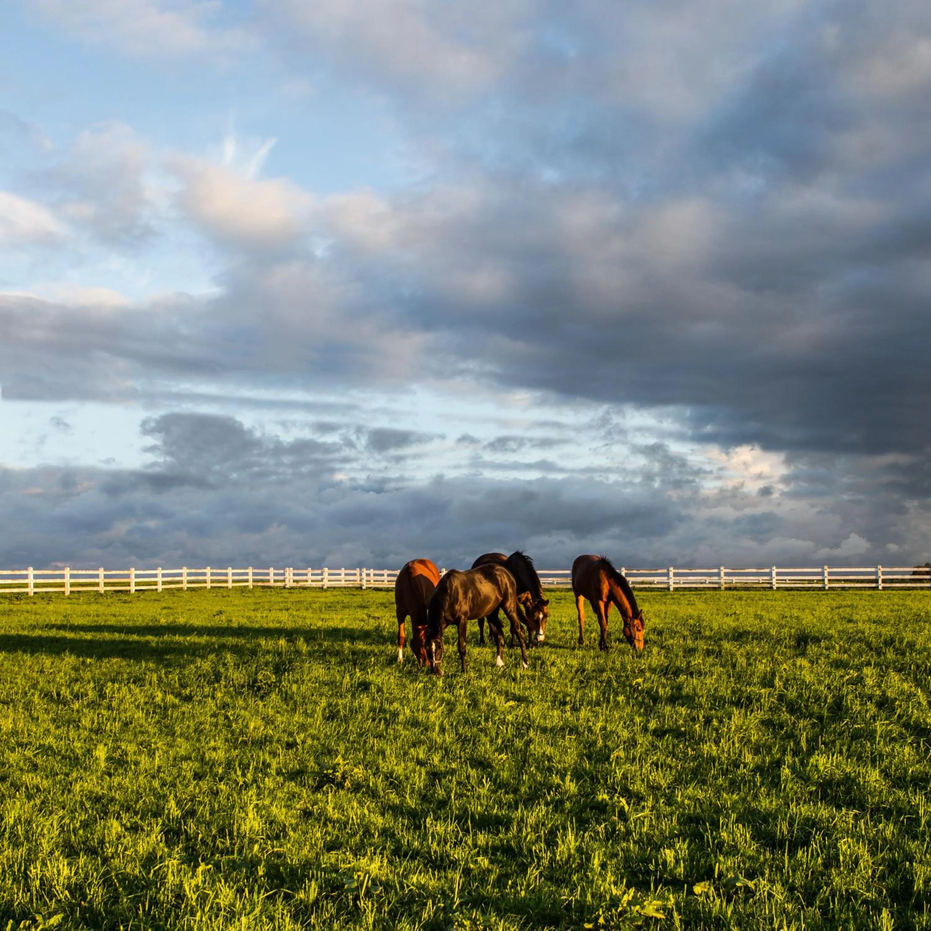 Natural landscape in Pałac Ciekocinko Hotel Resort & Wellness