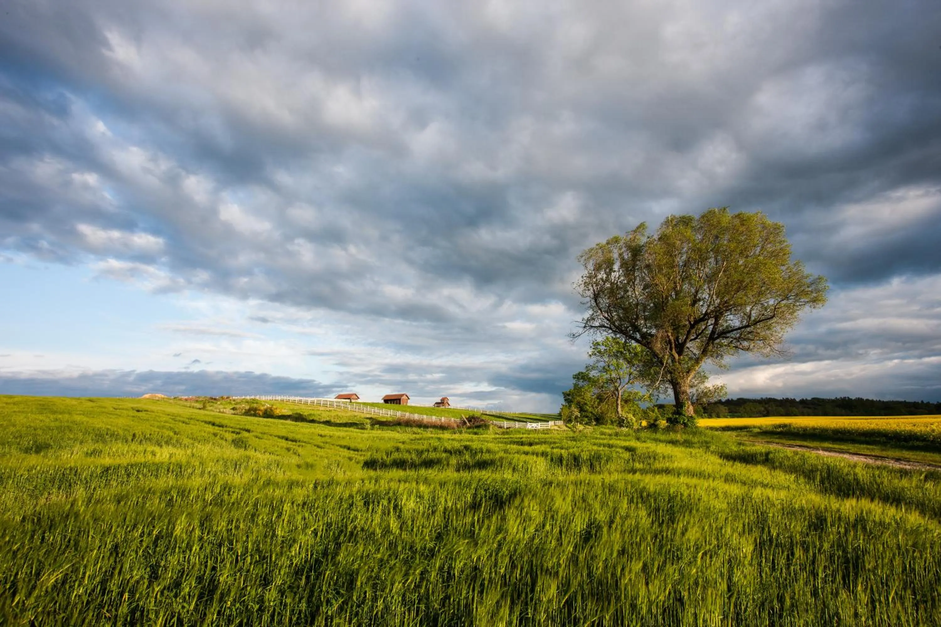Natural landscape in Pałac Ciekocinko Hotel Resort & Wellness