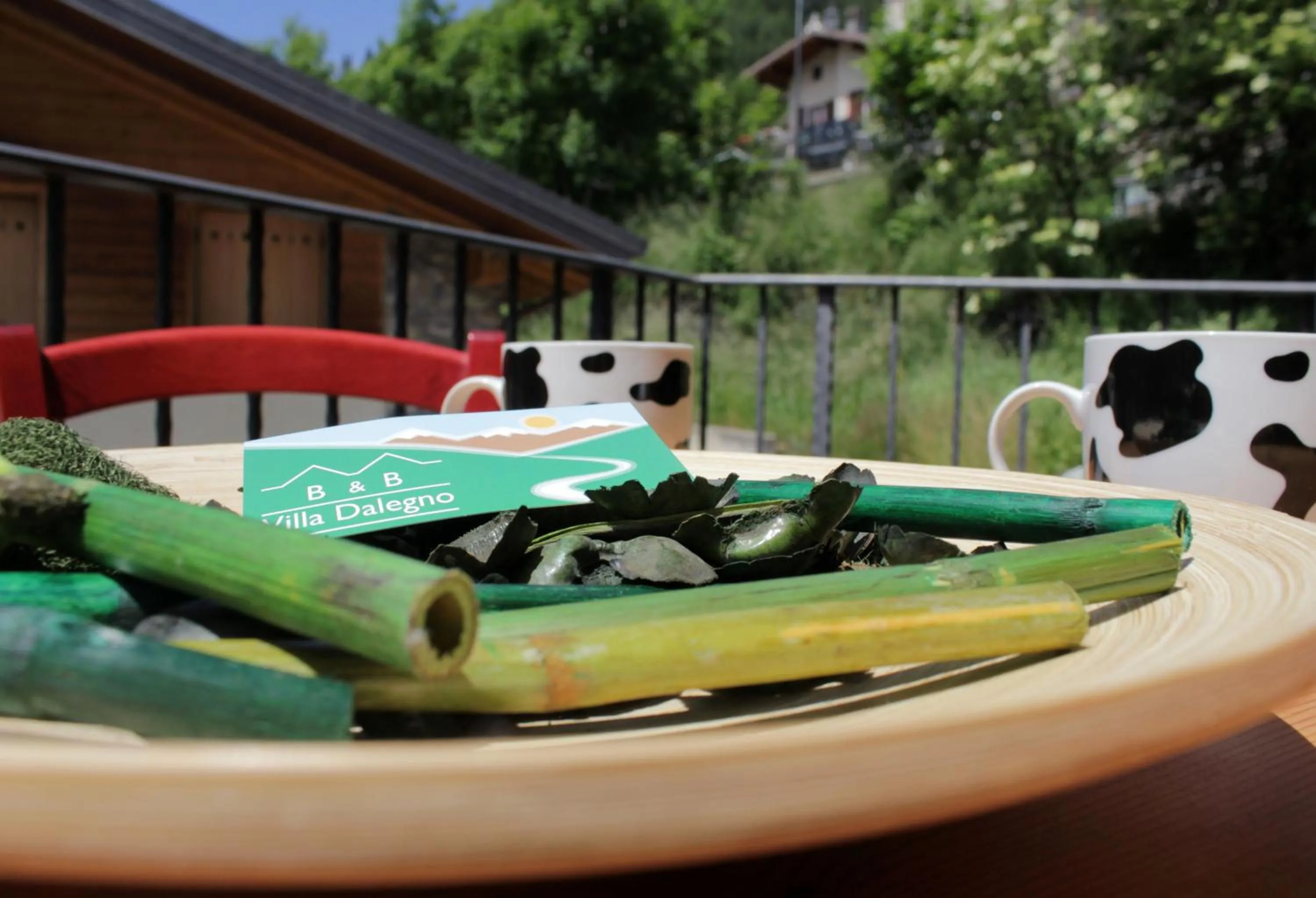 Balcony/Terrace in B&B Villa Dalegno