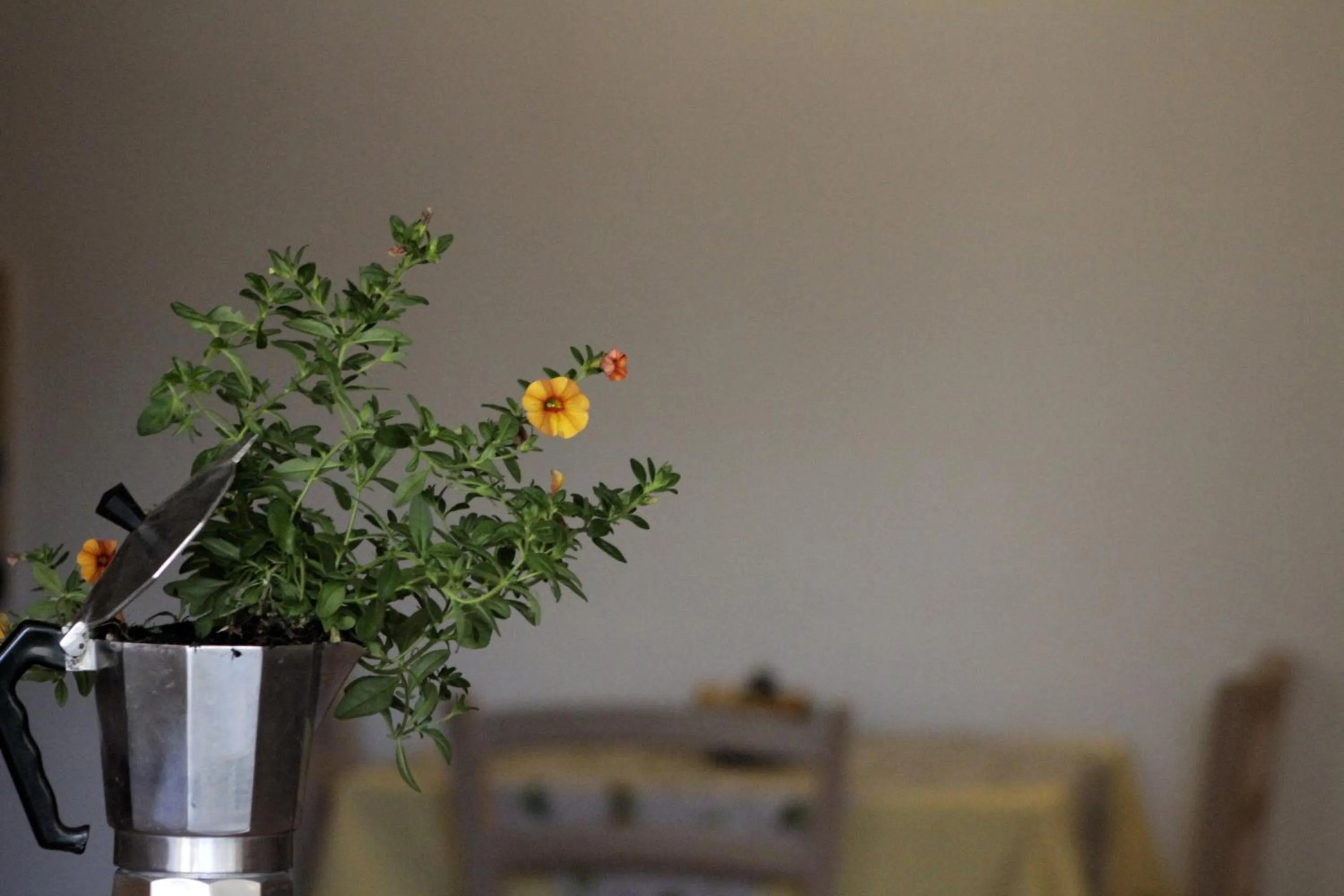 Spring in B&B Villa Dalegno