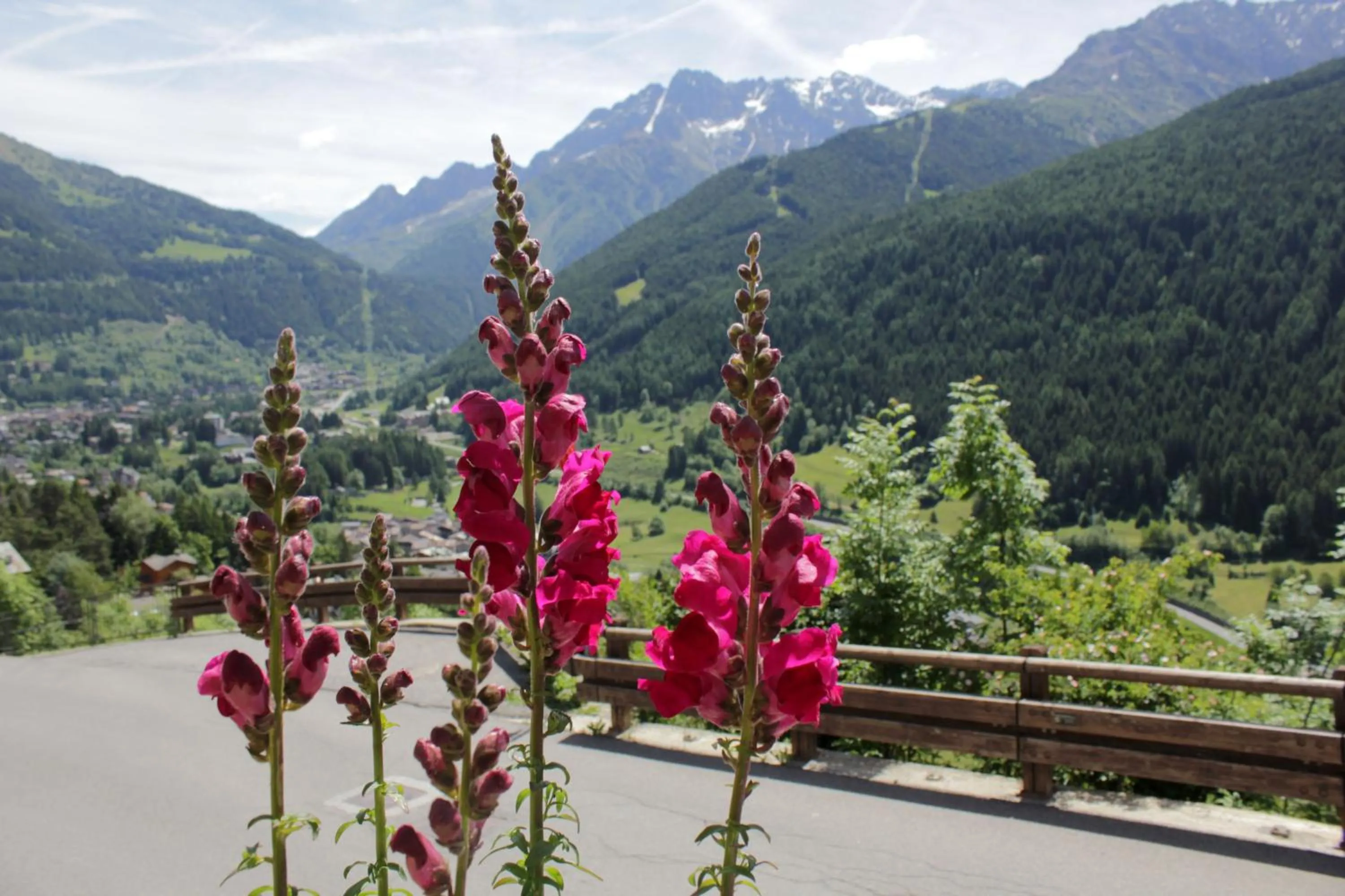 Natural landscape in B&B Villa Dalegno
