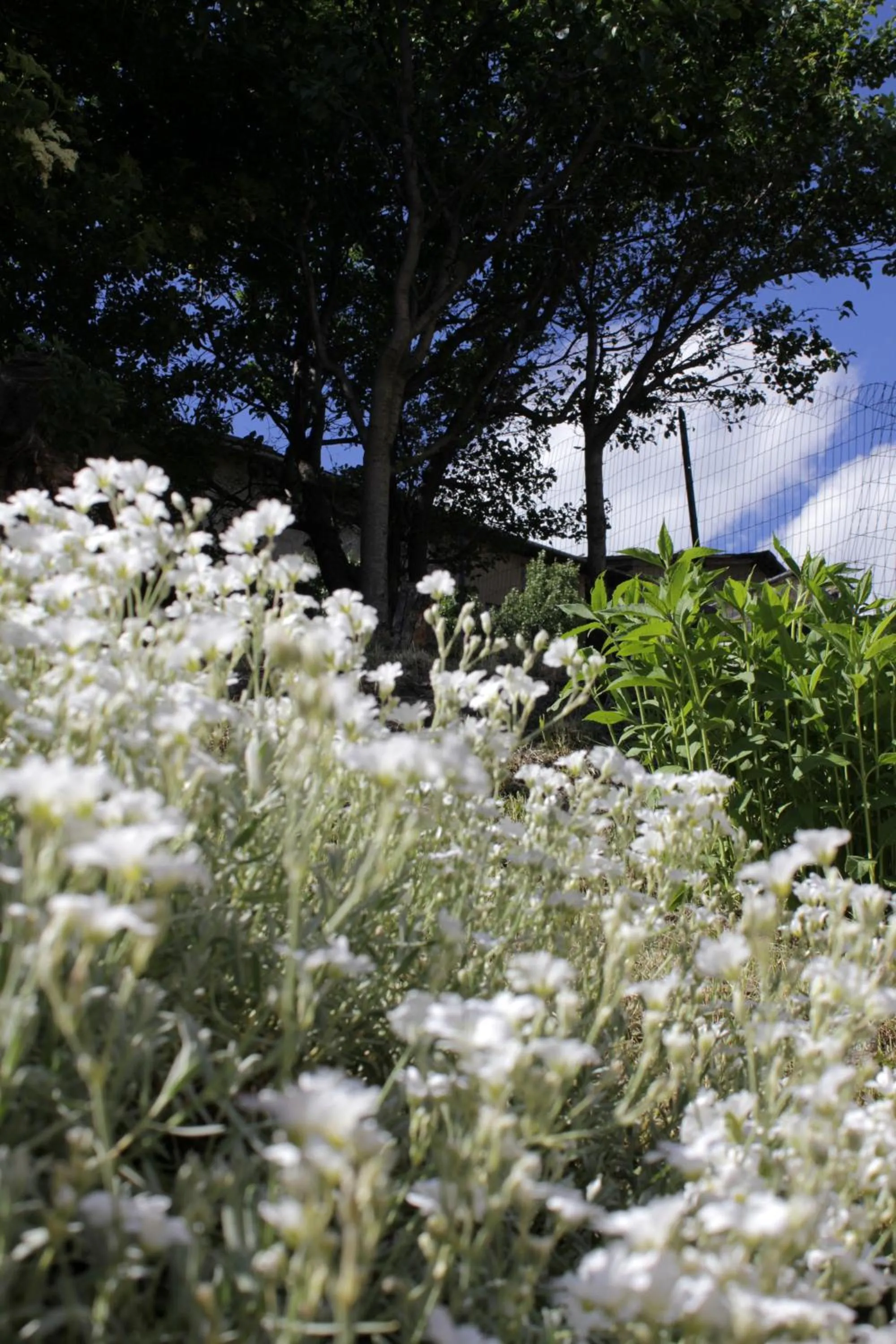 Day in B&B Villa Dalegno