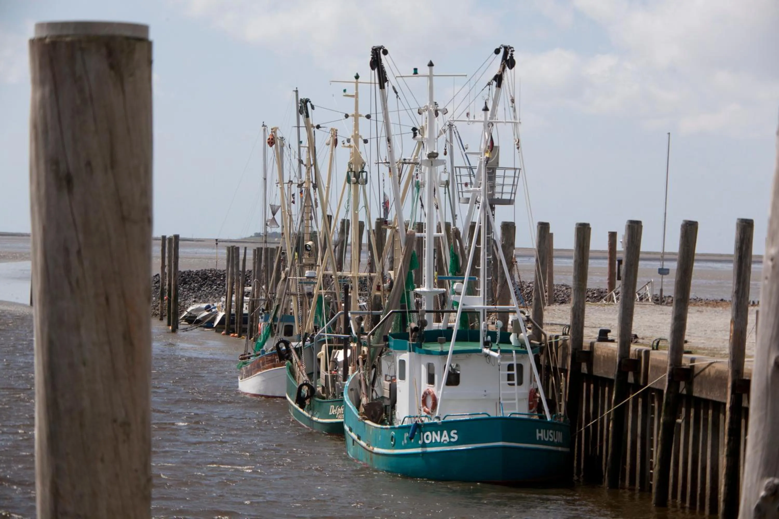 Natural landscape in Landhaus Sterdebüll