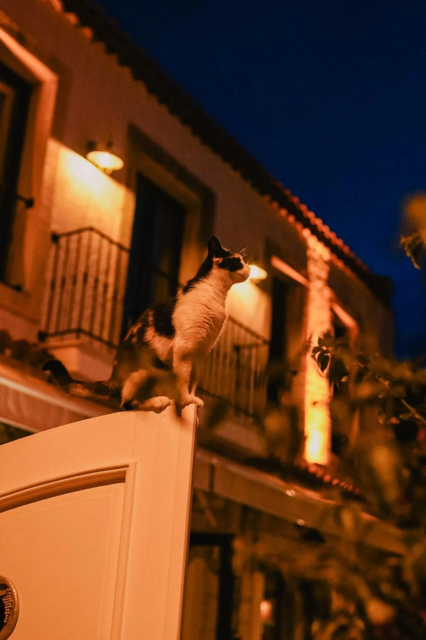 Garden in Portakal Çiçeği Alaçatı