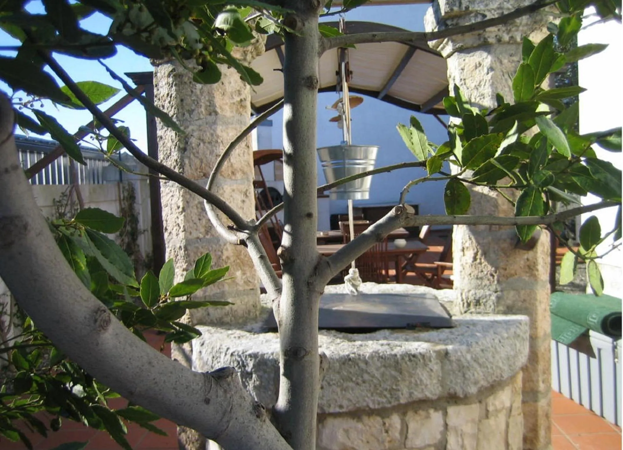 Garden in B&B Donna Luisa